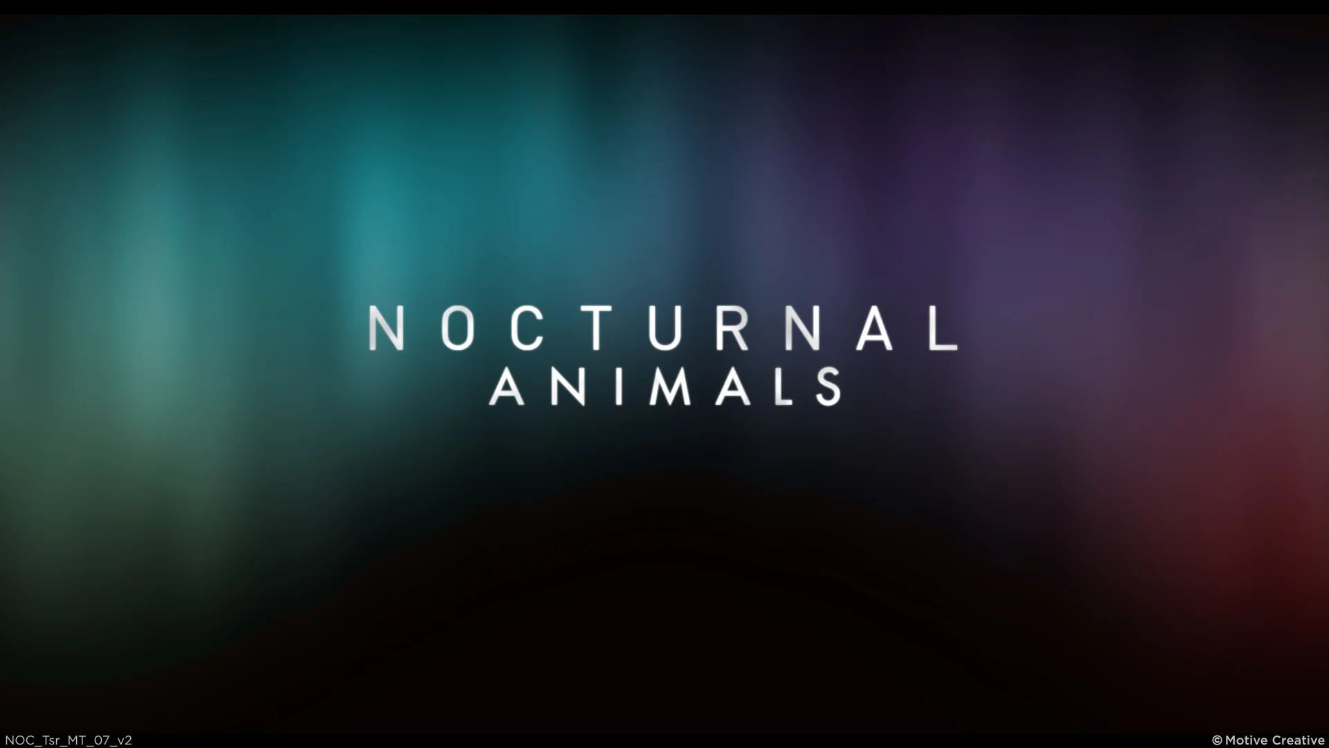 nocturnal animals moe dean