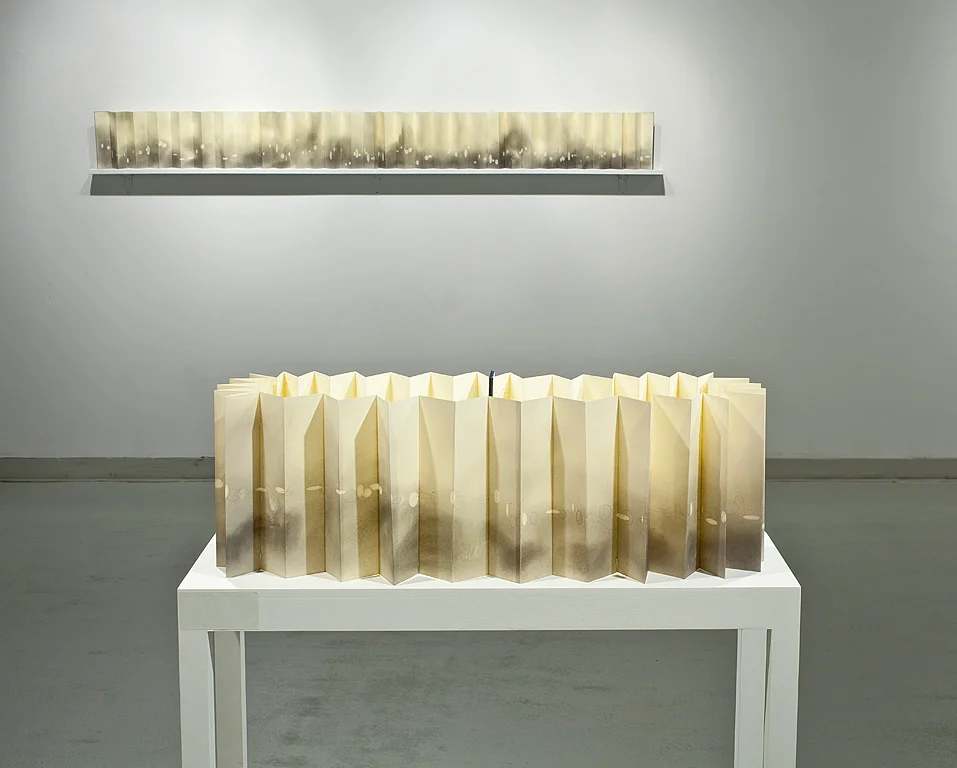  Silent Reading and What Cannot Be Said | 2009 | Installation view 