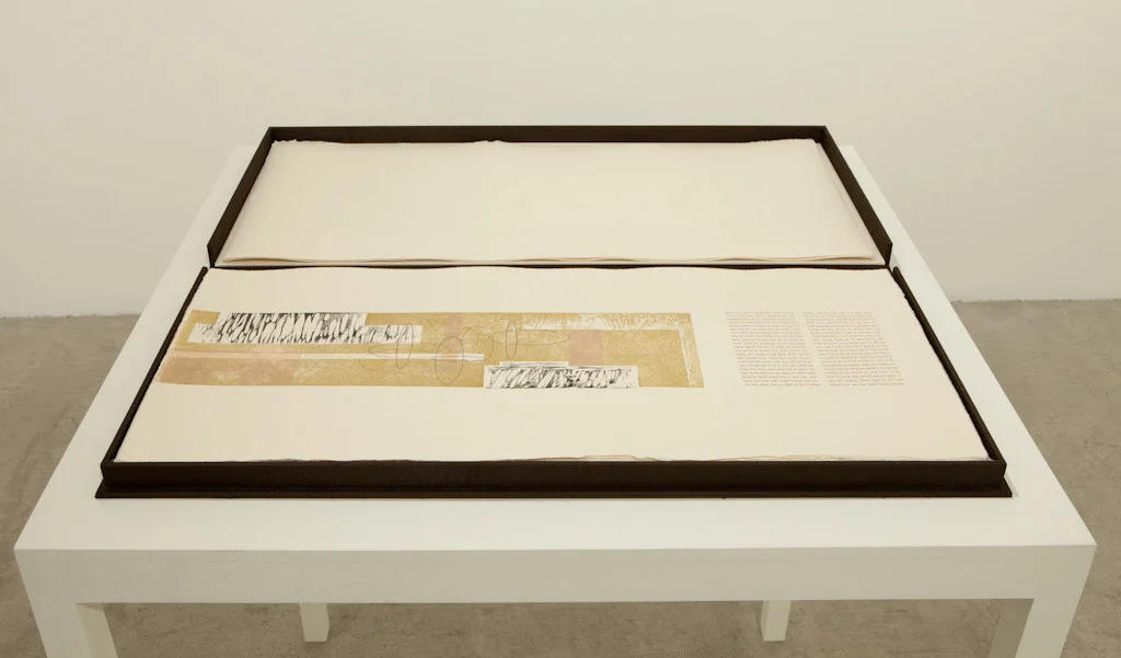 Solo exhibition