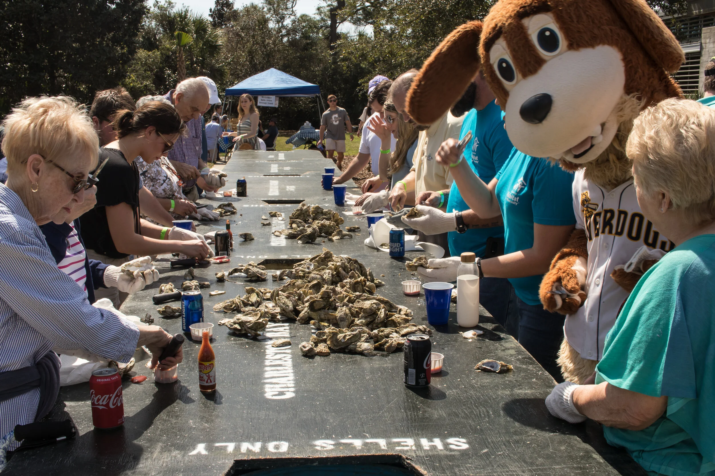 Charleston Habitat for Humanity
