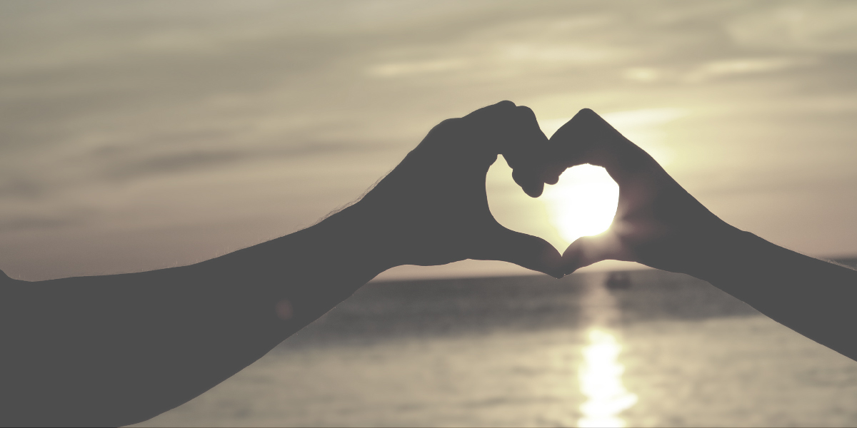 comfort-header-01.jpg