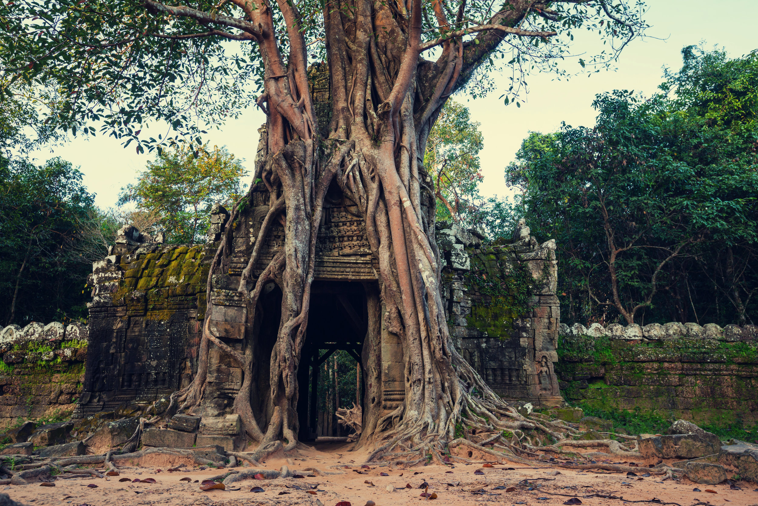 AdobeStock_121249690.jpeg