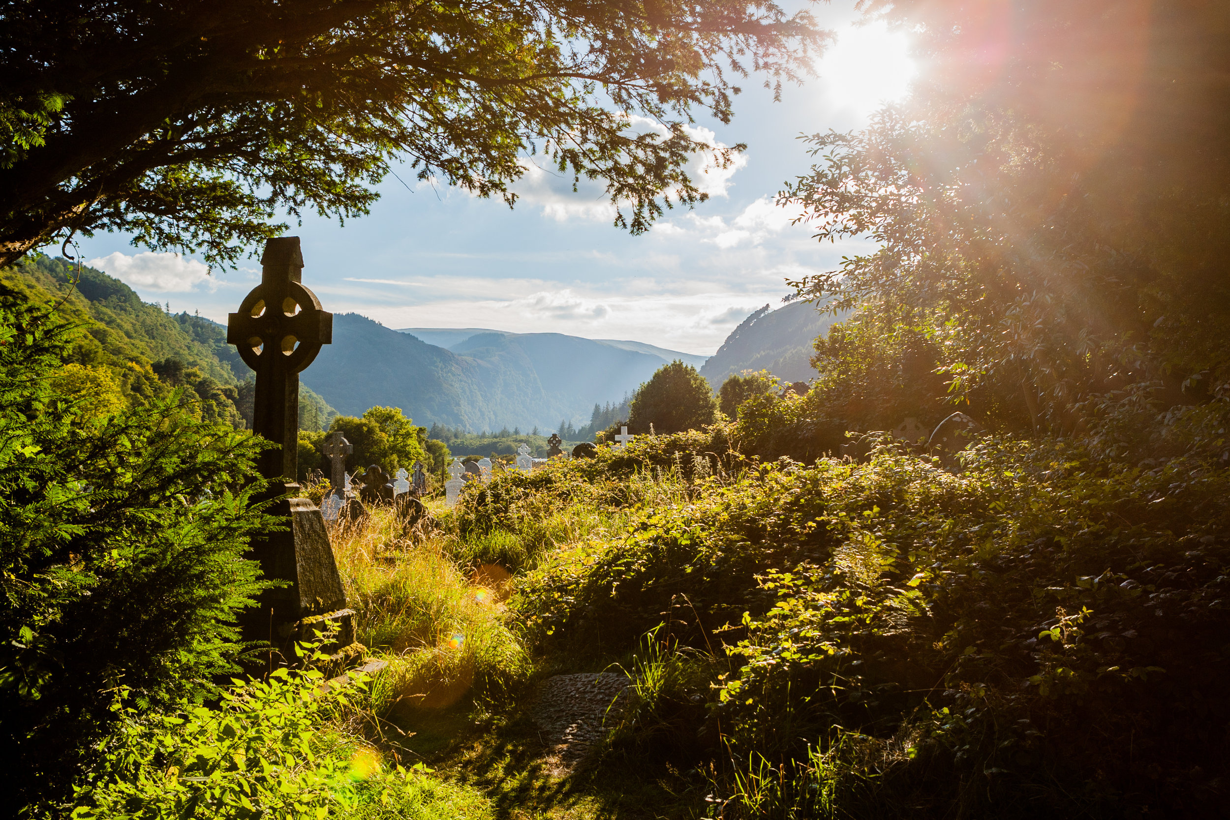 AdobeStock_92245833.jpeg