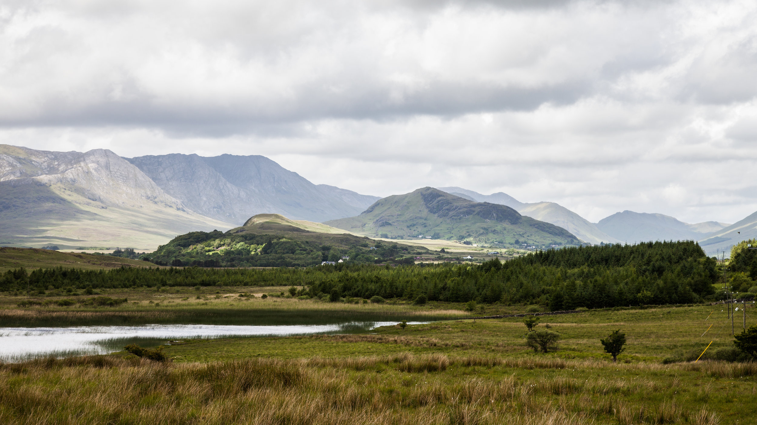 AdobeStock_97840006 (1).jpeg