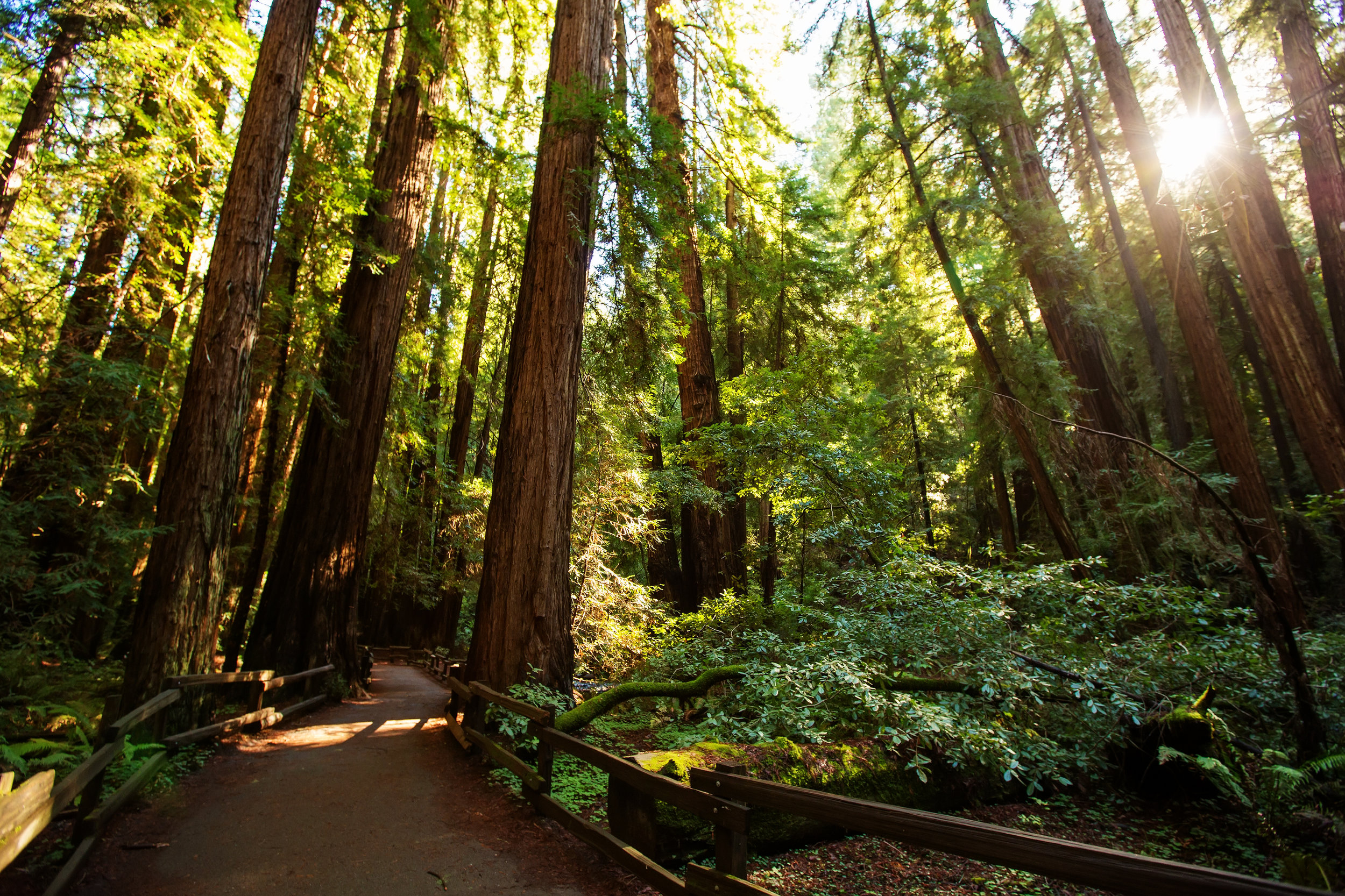 AdobeStock_157133535.jpeg