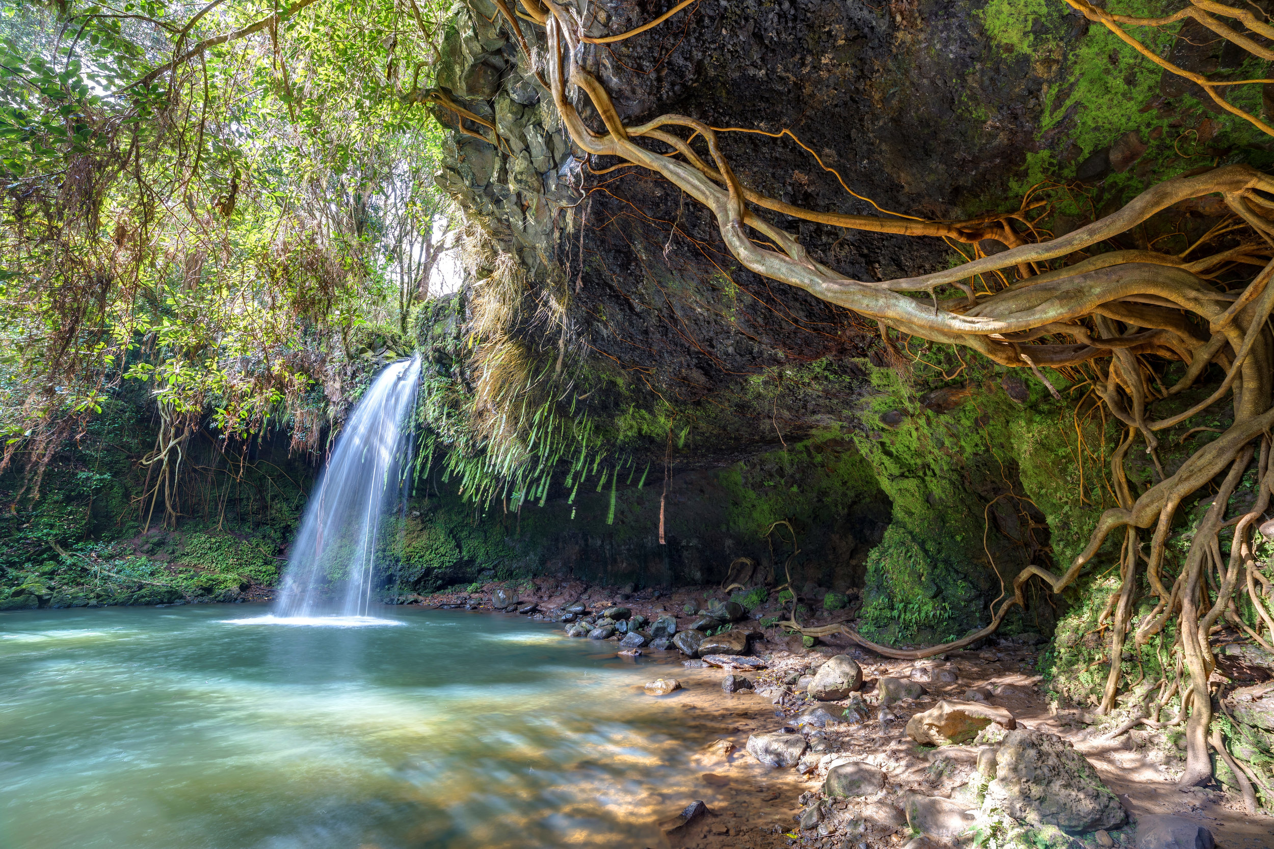 AdobeStock_136860193.jpeg