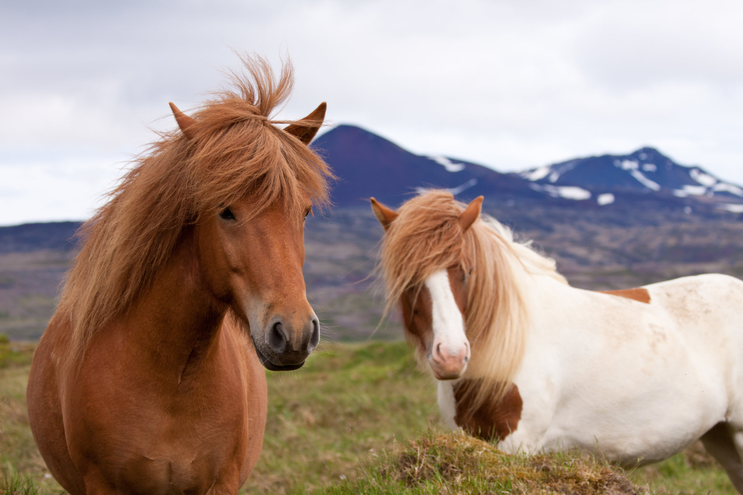 AdobeStock_34719316.jpeg