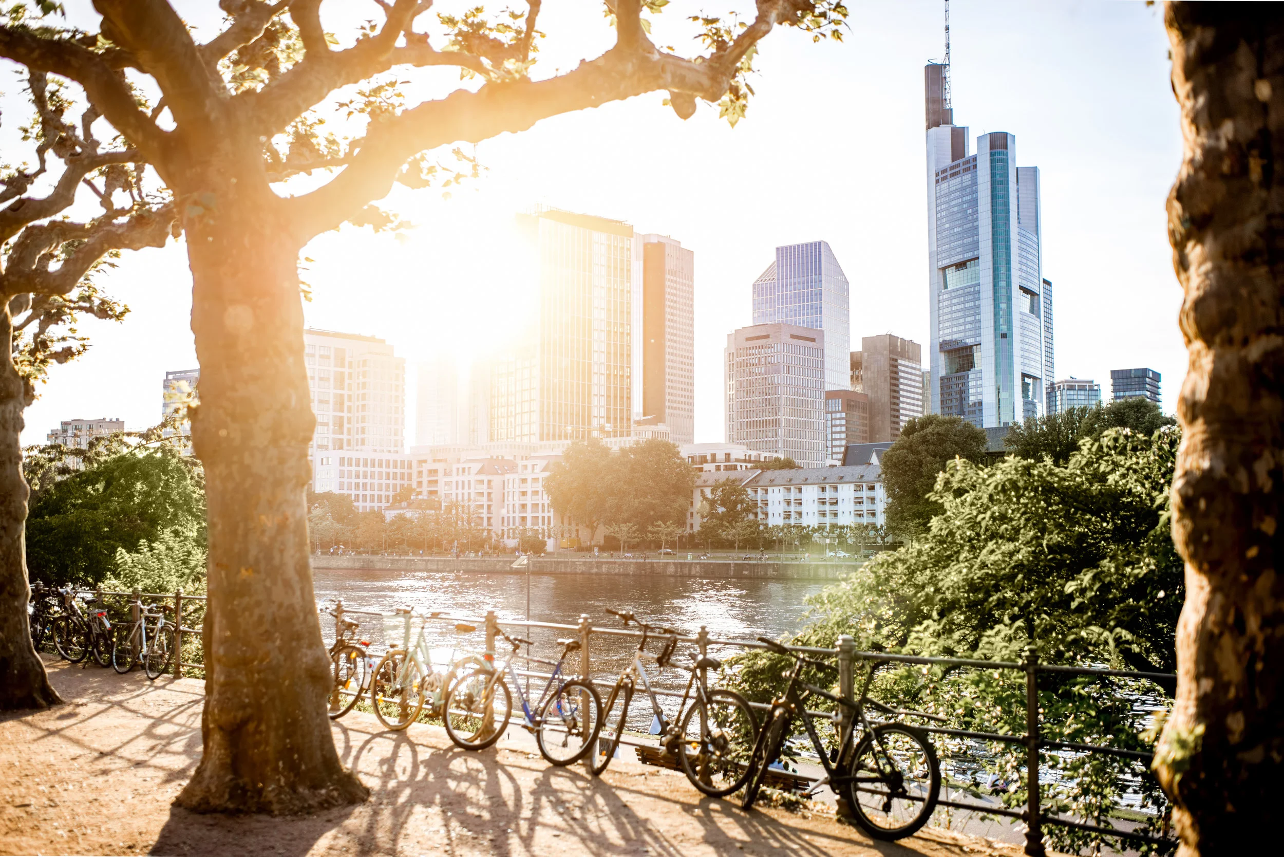 AdobeStock_161969636.jpeg