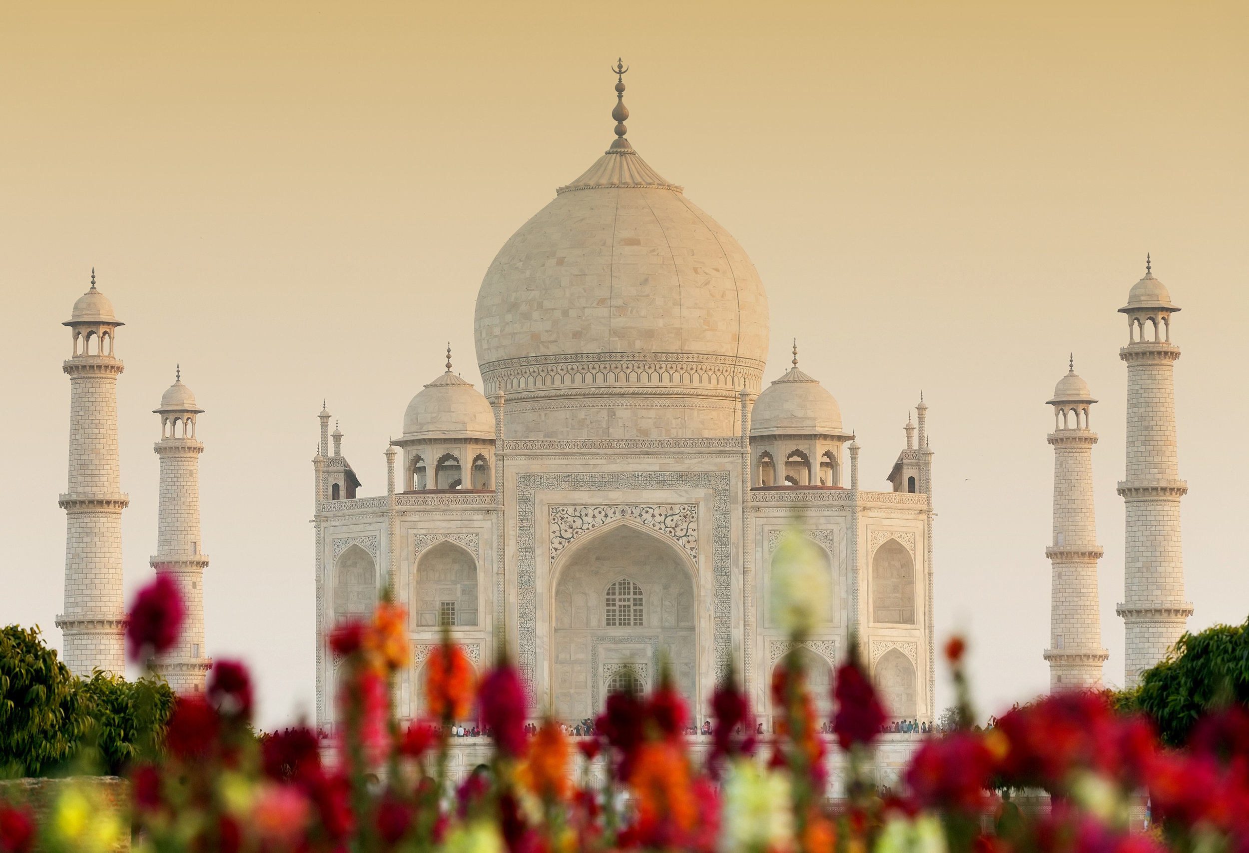 AdobeStock_67303201.jpeg