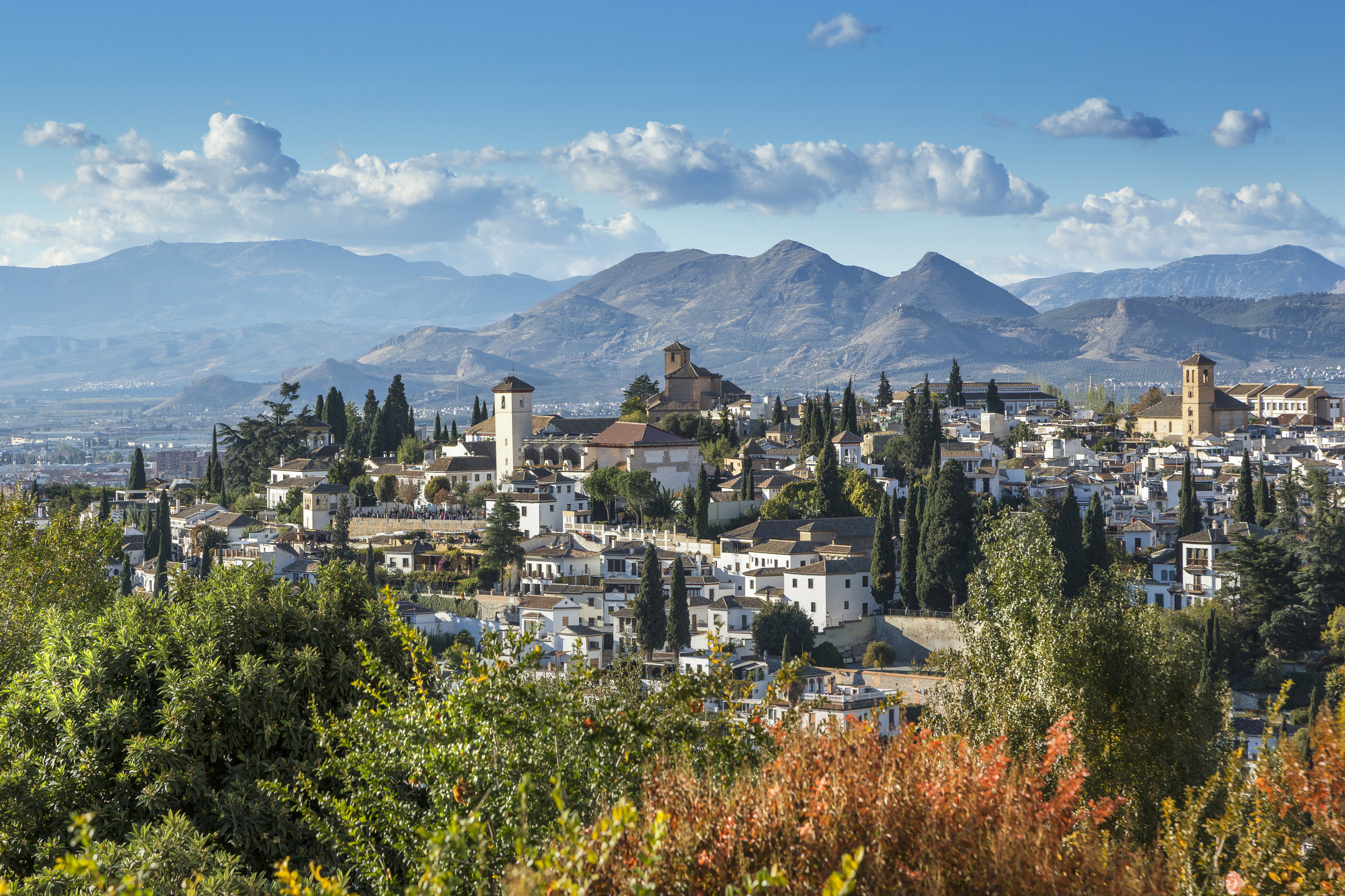 AdobeStock_130449238.jpeg