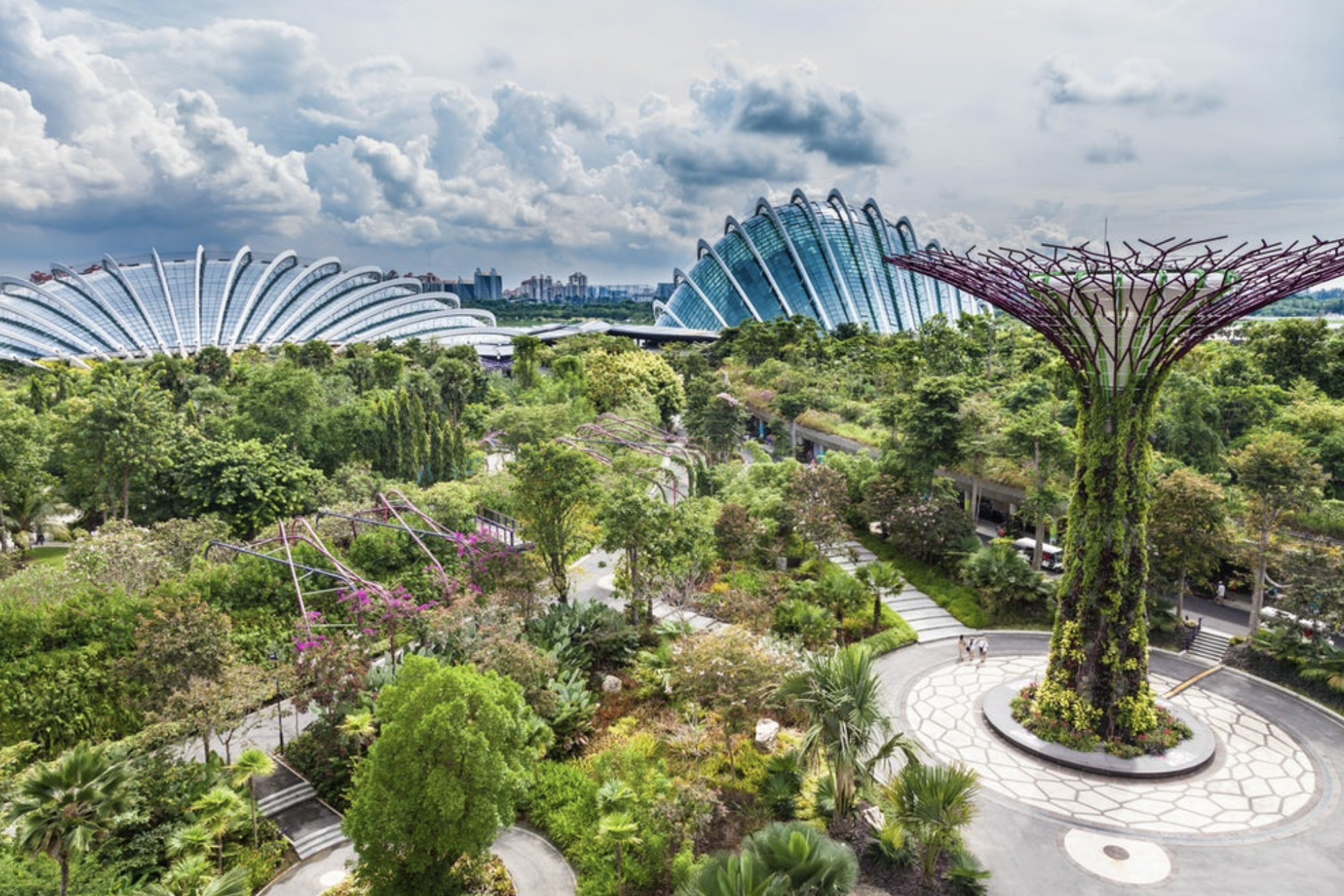Город сад 1 класс. Сингапурский Ботанический сад Singapore Botanic Gardens. Татерсаль парк Сингапур. Гарден Бэй Сингапур оранжерея. Сады у залива Сингапур.