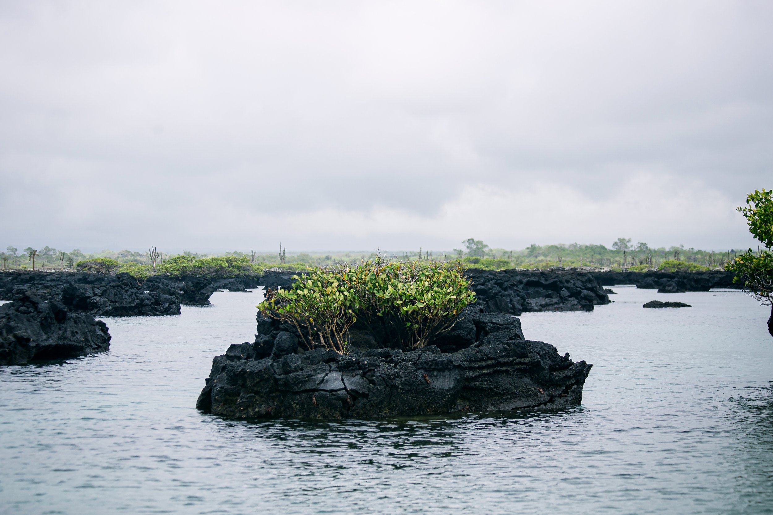 AdobeStock_377152235.jpeg