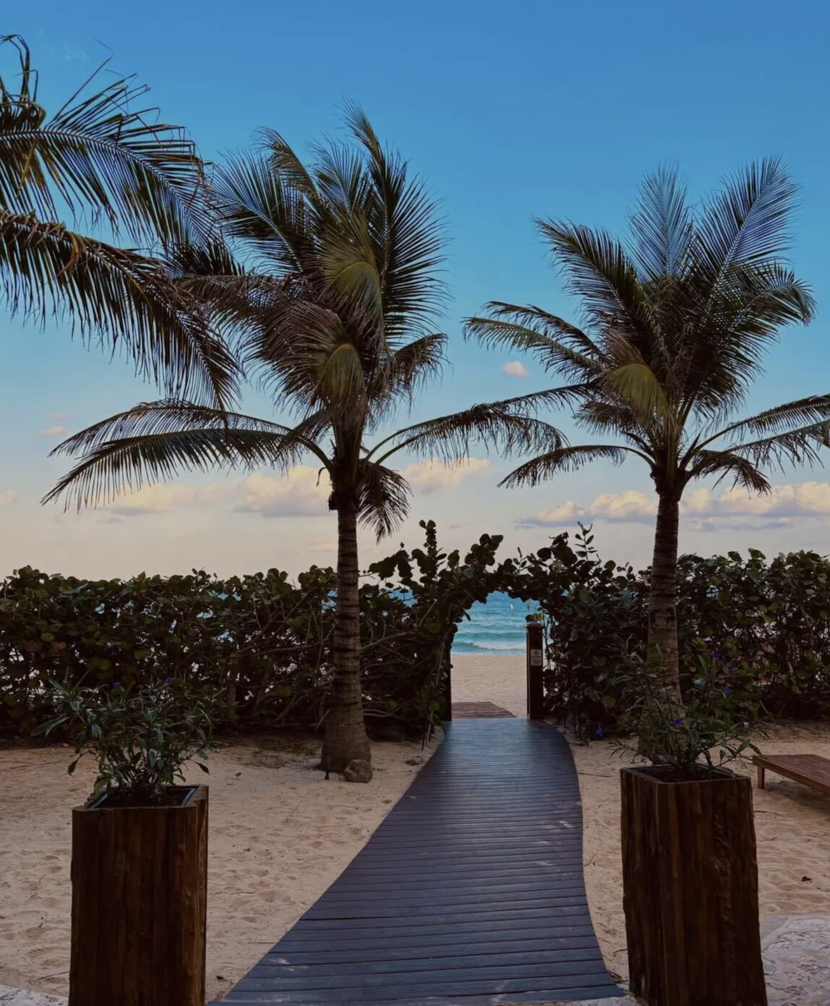 Screenshot 2025-12-18 at 1.31.41 PM.png