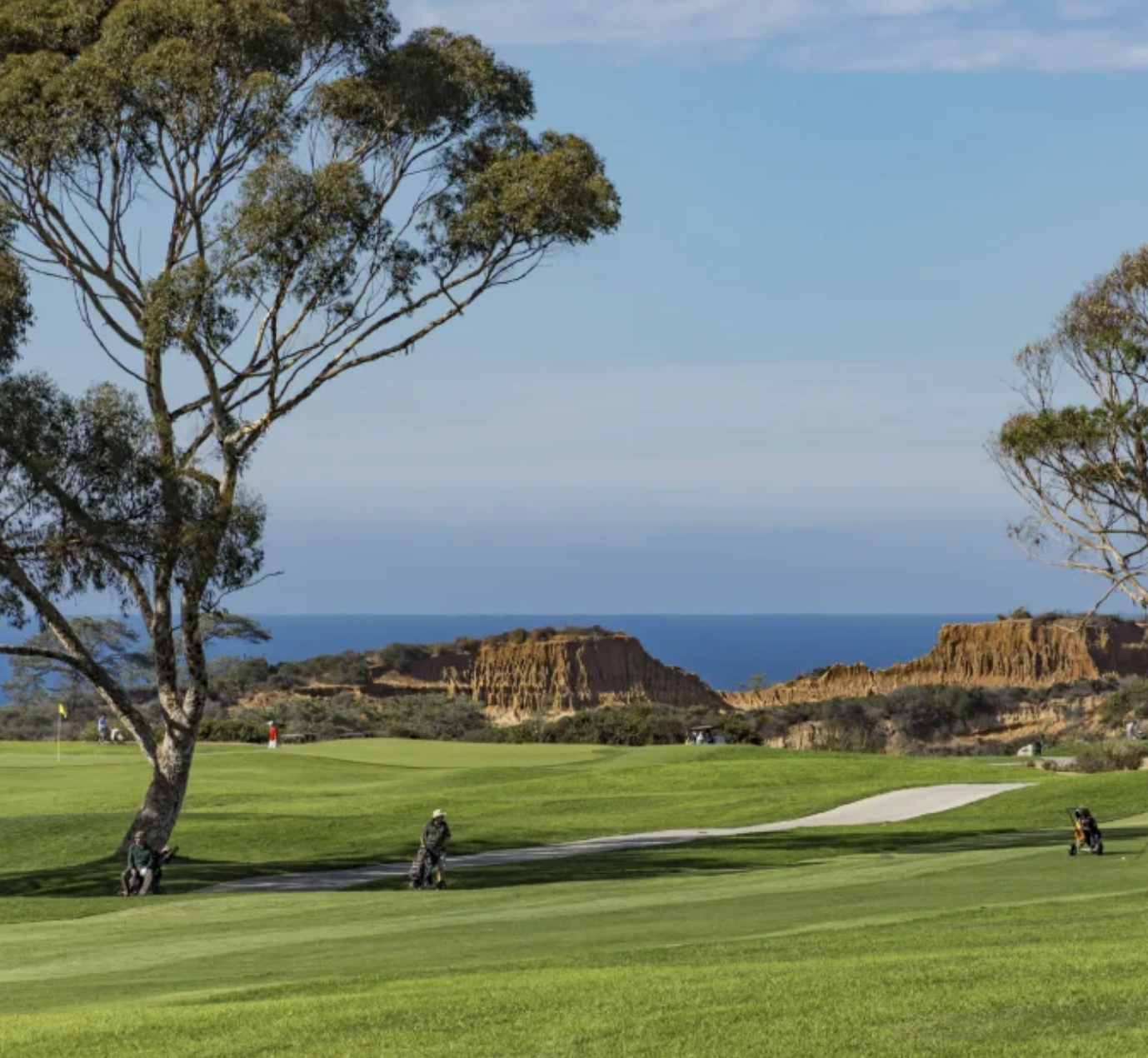 Screenshot 2026-02-03 at 4.39.35 PM.png