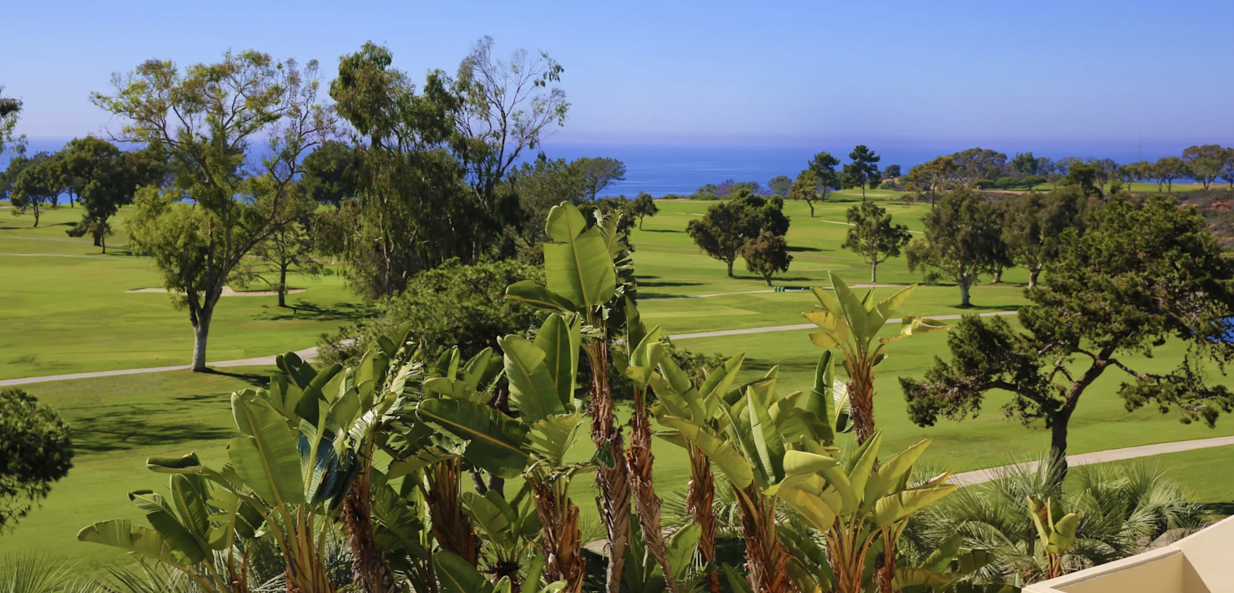 Screenshot 2026-02-03 at 4.39.21 PM.png