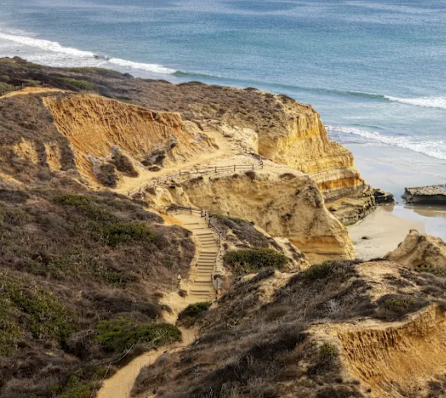 Screenshot 2026-02-03 at 4.40.31 PM.png