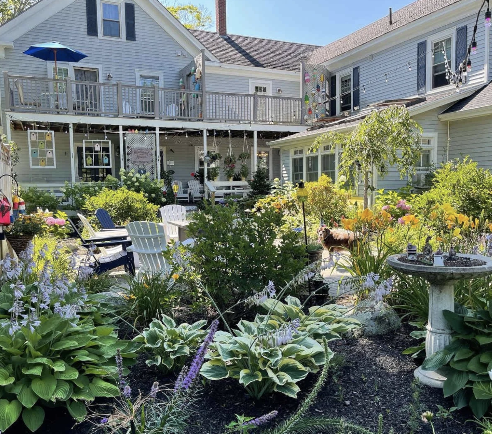 Screenshot 2026-01-22 at 3.41.30 PM.png