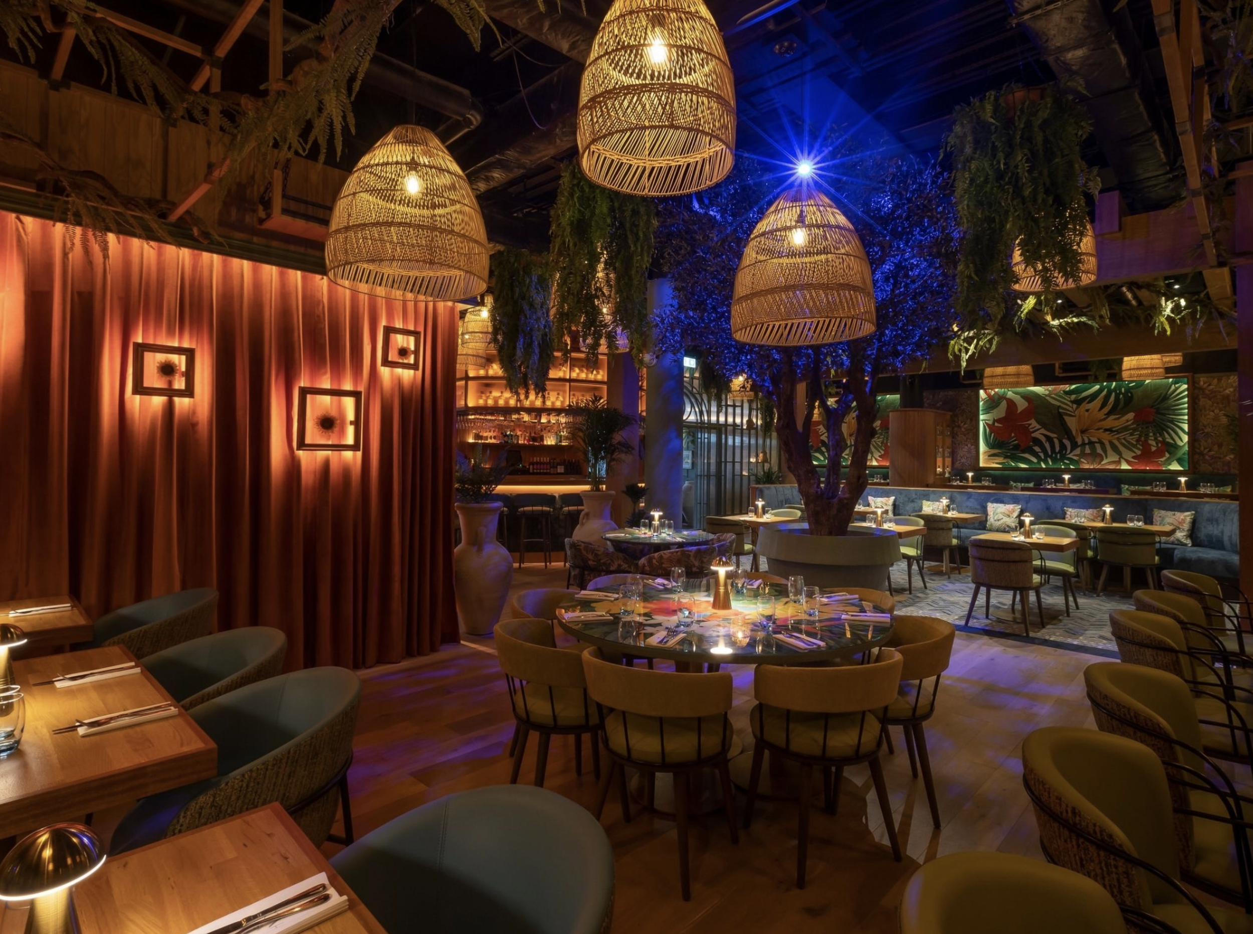 Screenshot 2026-02-20 at 4.14.06 PM.png