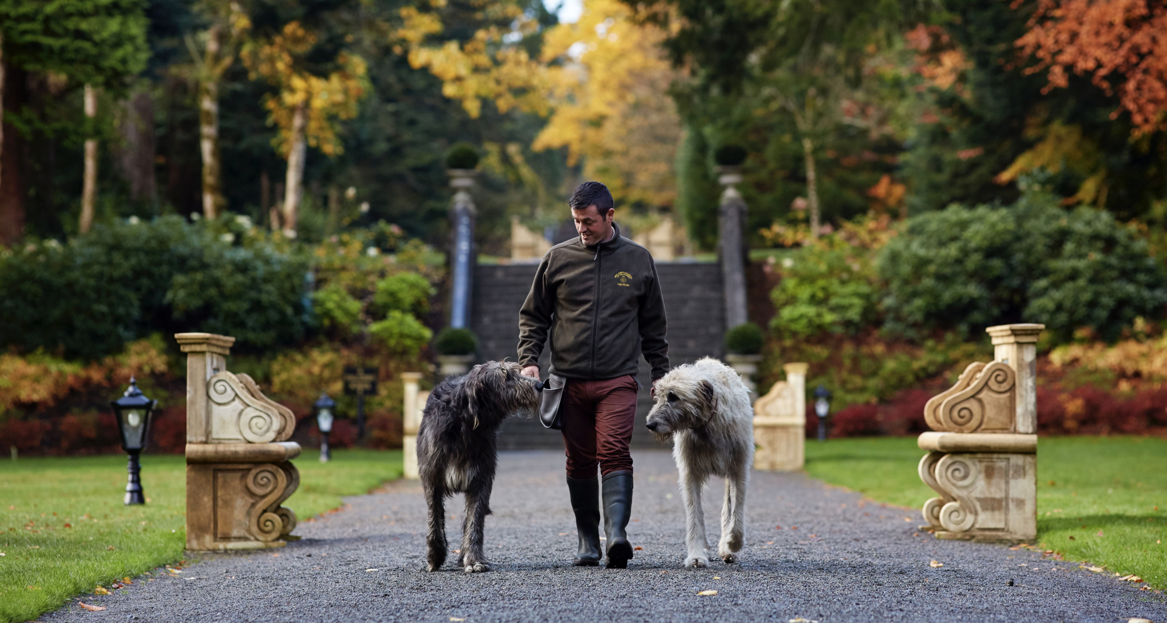 Screenshot 2024-03-19 at 5.31.14 PM.png