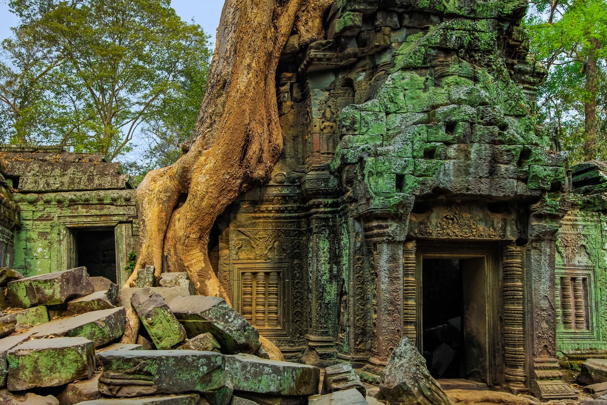 ta prohm.jpg