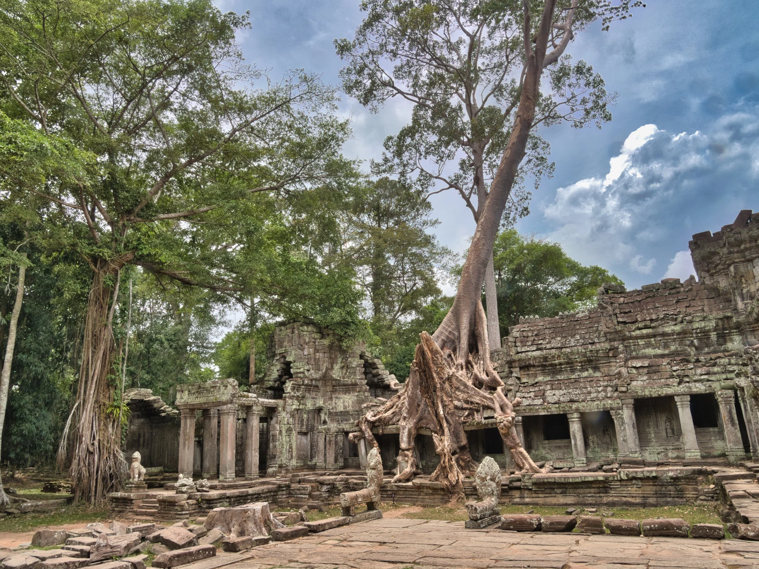 Preah Khan Siem Reap.jpeg