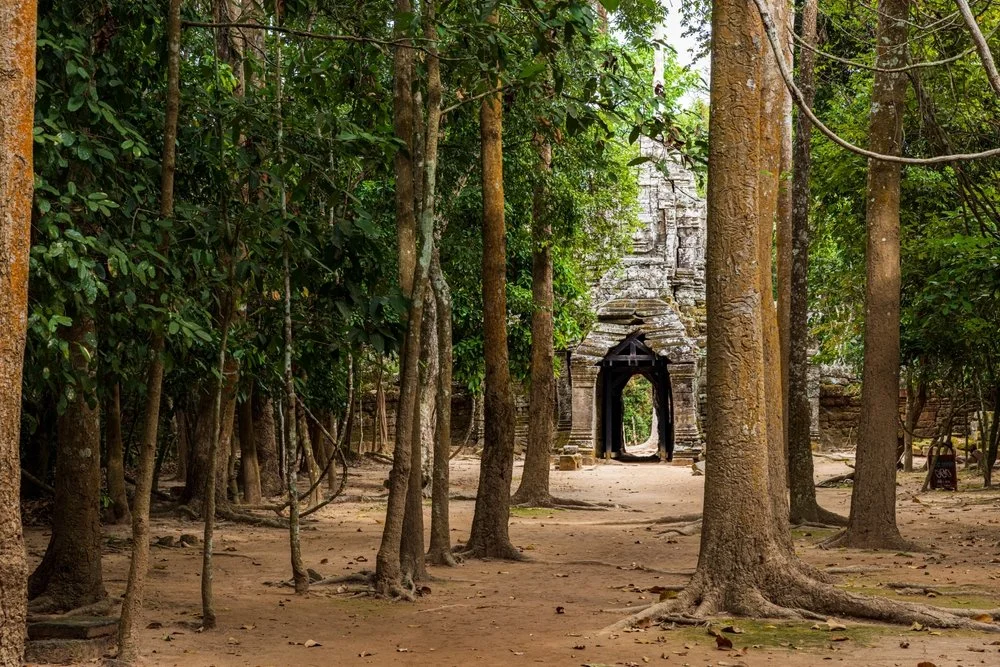 Gate to the Ta Som temple.jpg