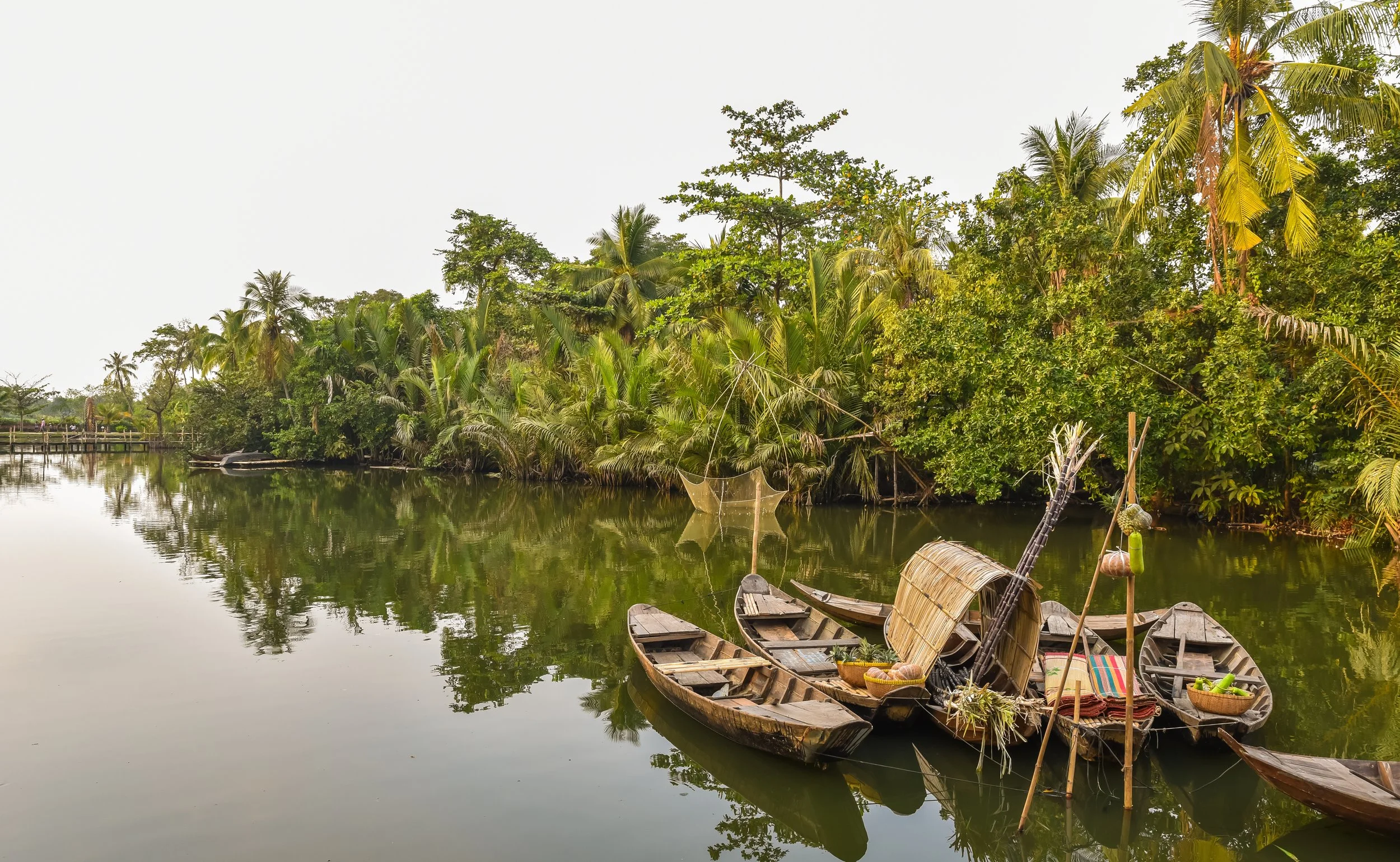 Mekong Delta in Vietnam.jpg