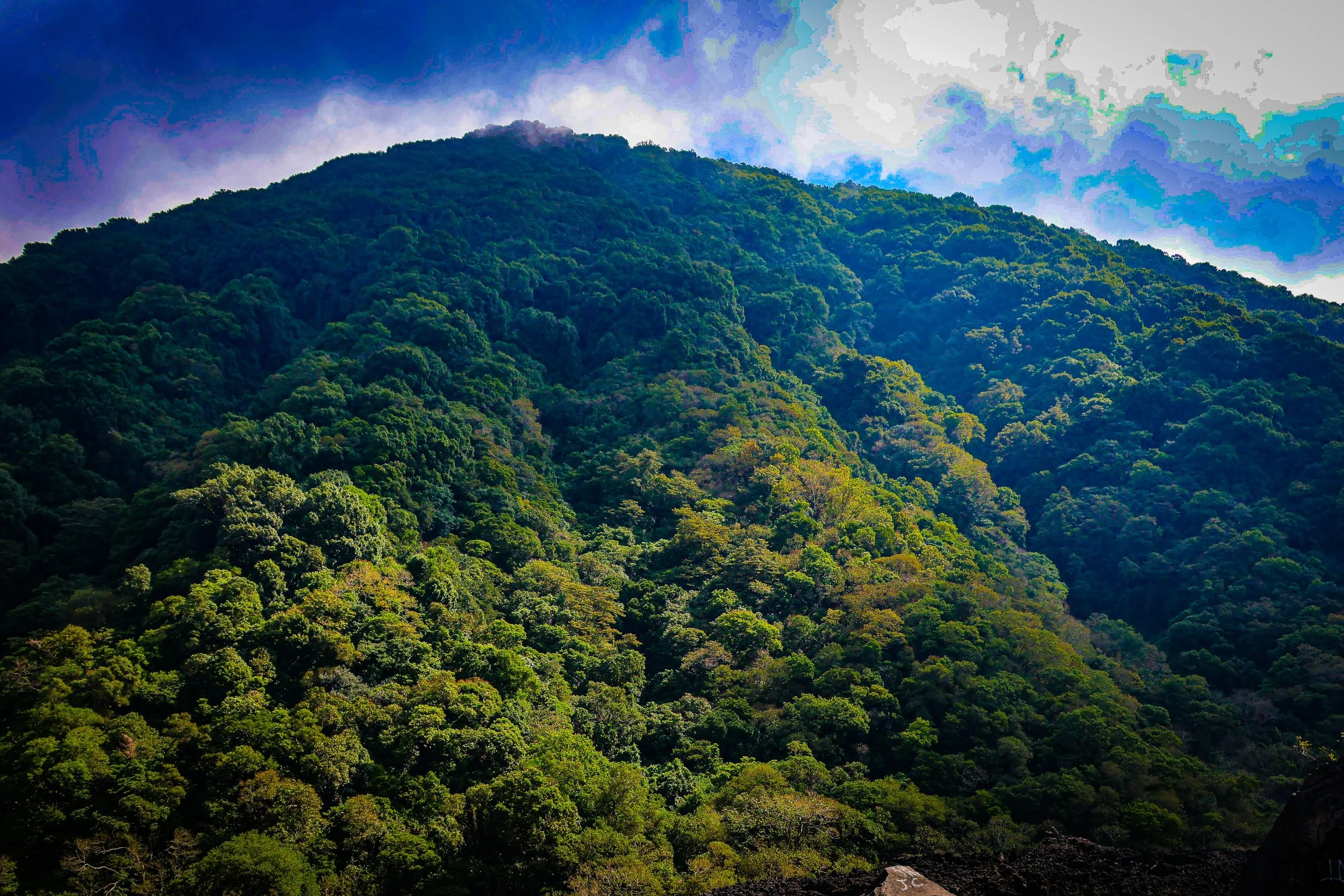 Cerro Verde.jpg