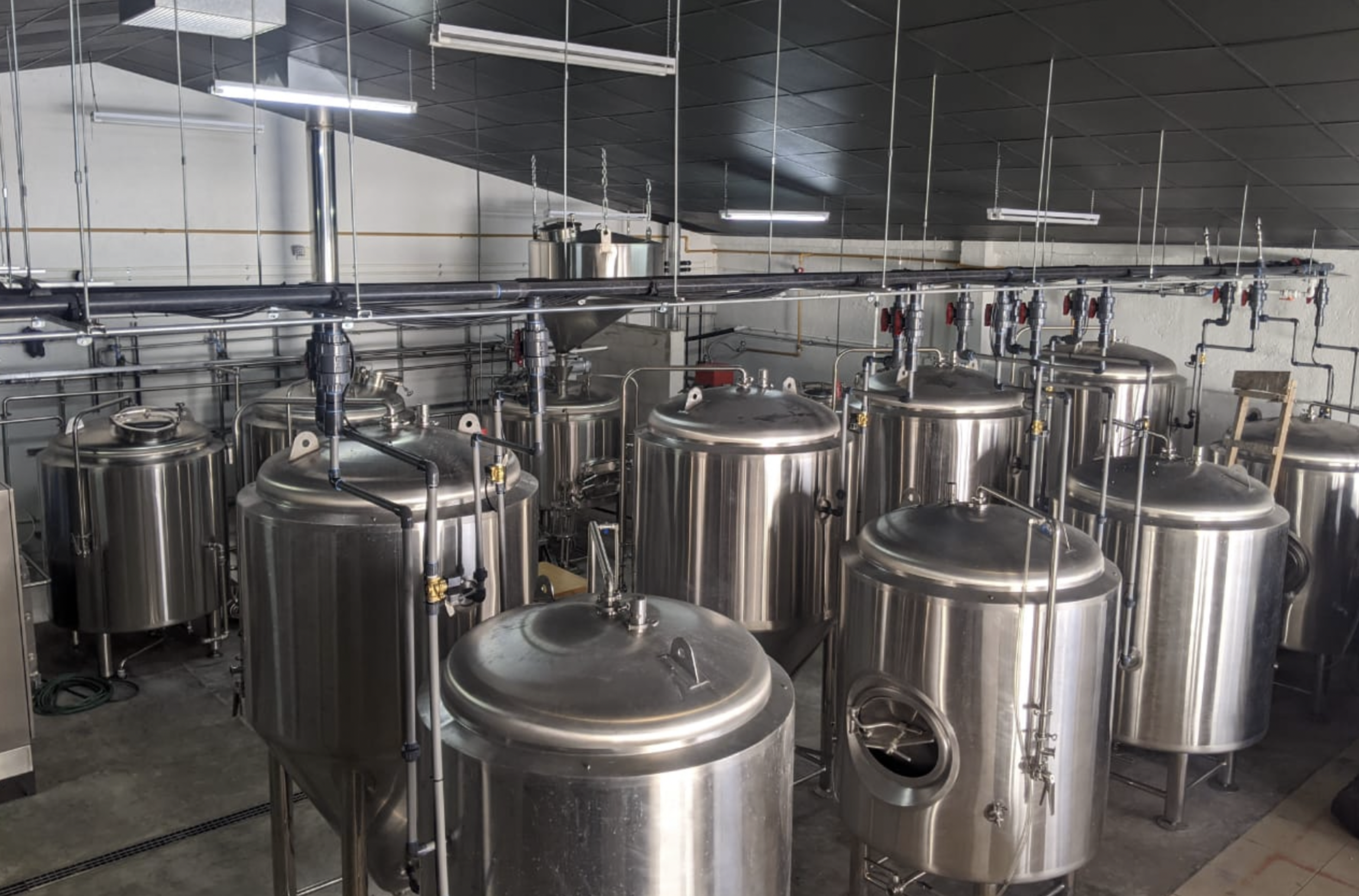 beer distillery.png