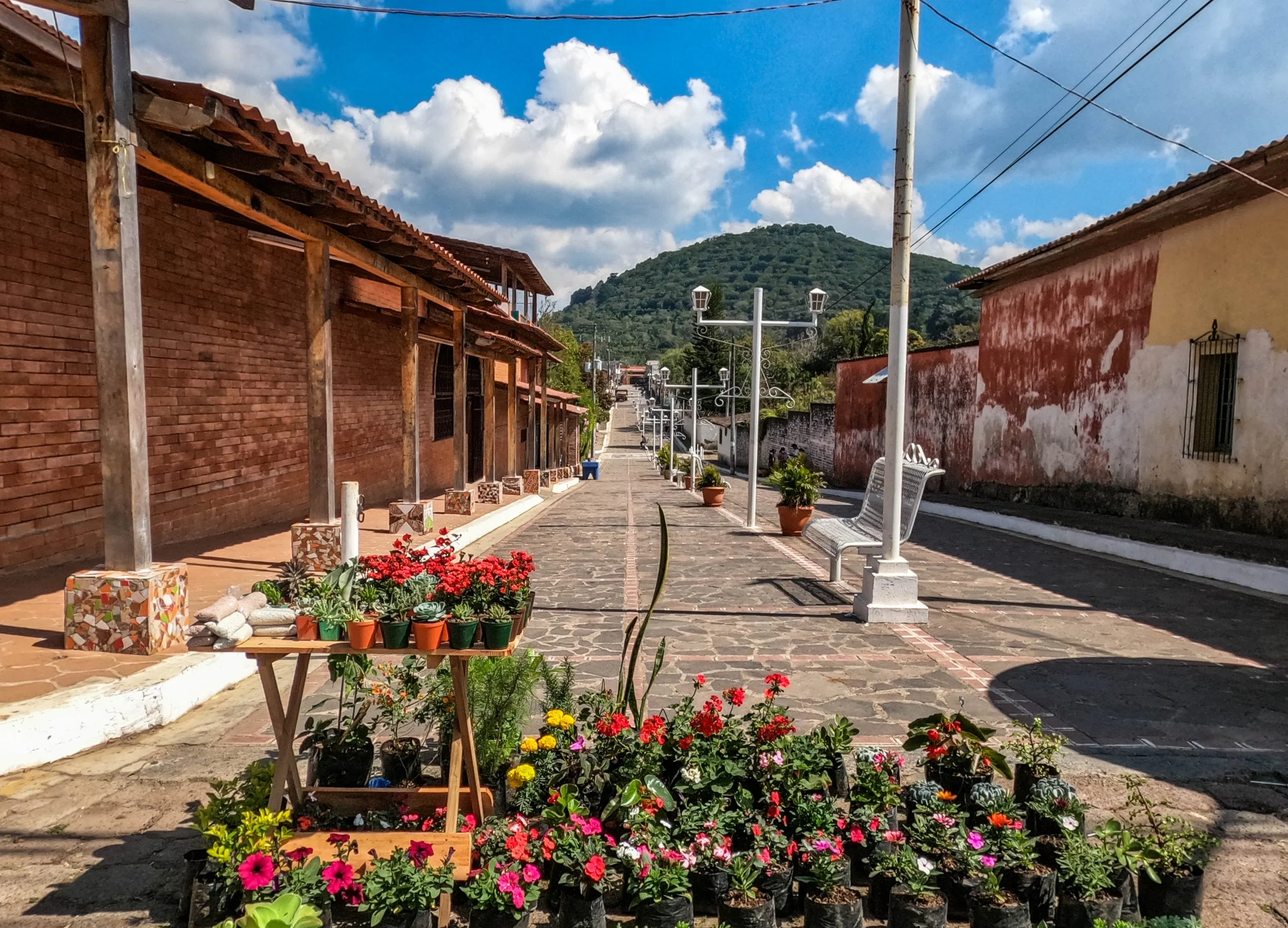 AdobeStock_488273520.jpeg