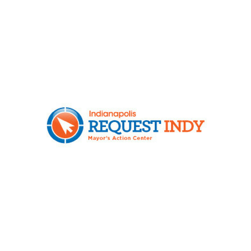 Request Indy picture.png