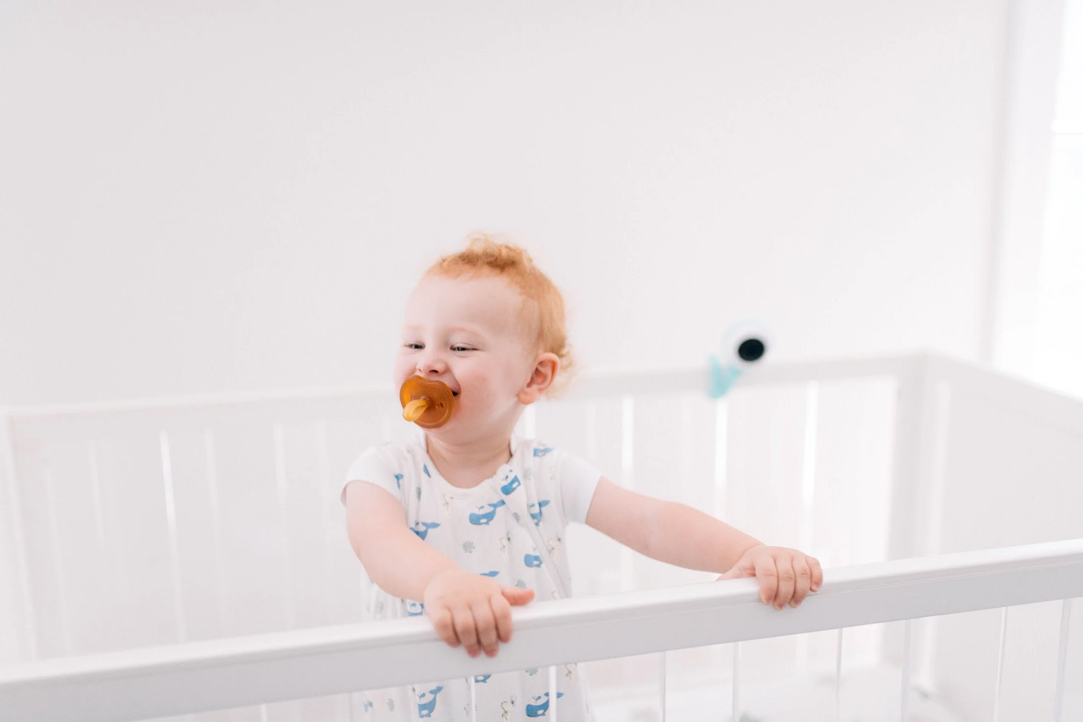 lollipop monitor review