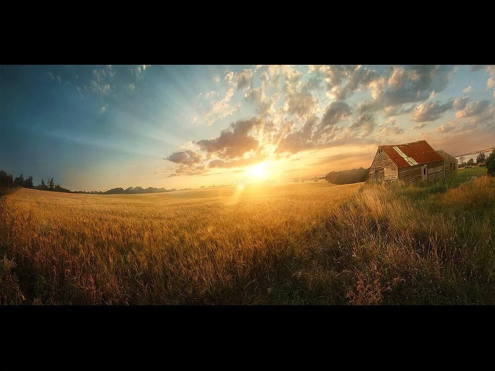 FirstBatchShopSize_0018_Background.jpg