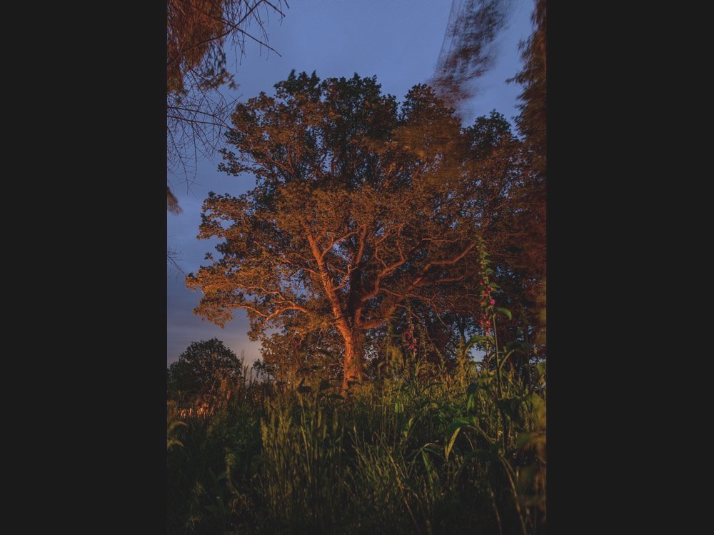 A6Landscape_OakTreeByFirelight_Image_V2Layers+copy.jpg