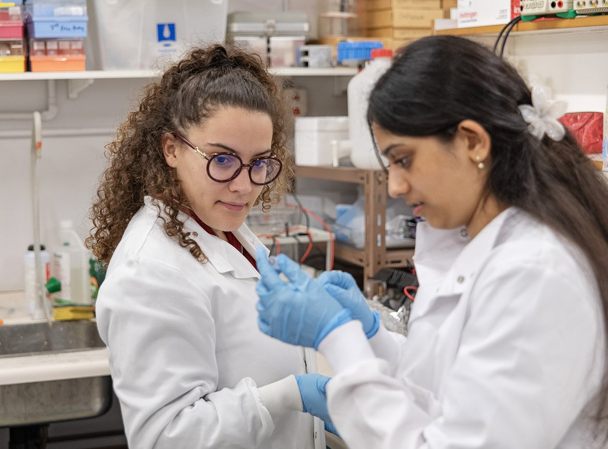 244.jpg