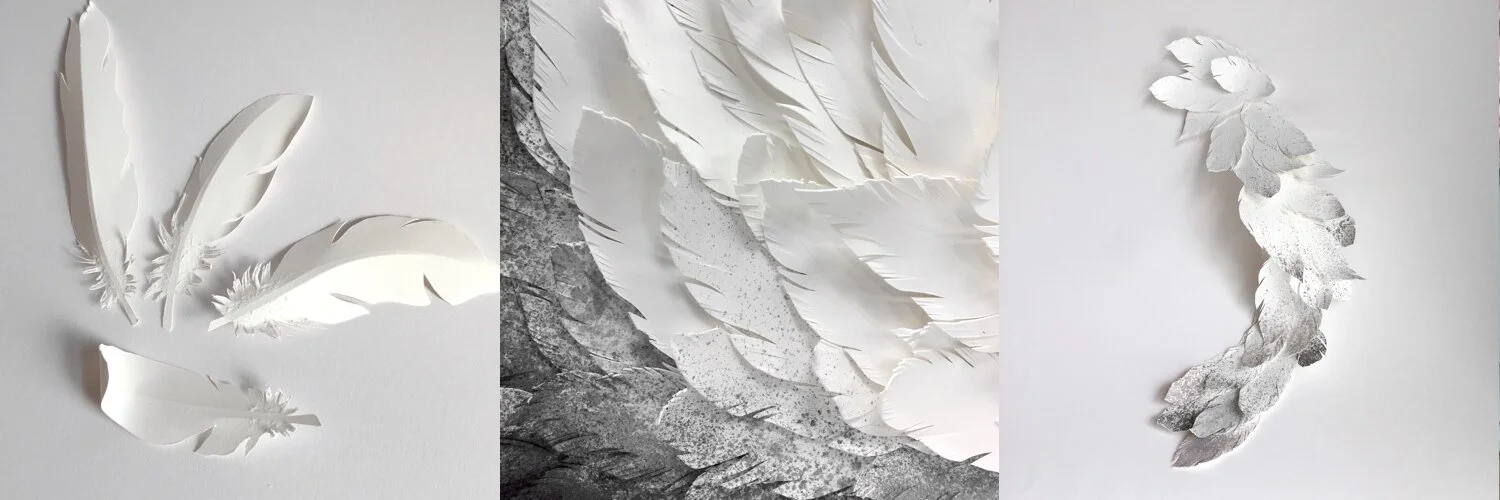 emi-hazlett-display-paper-4.jpg