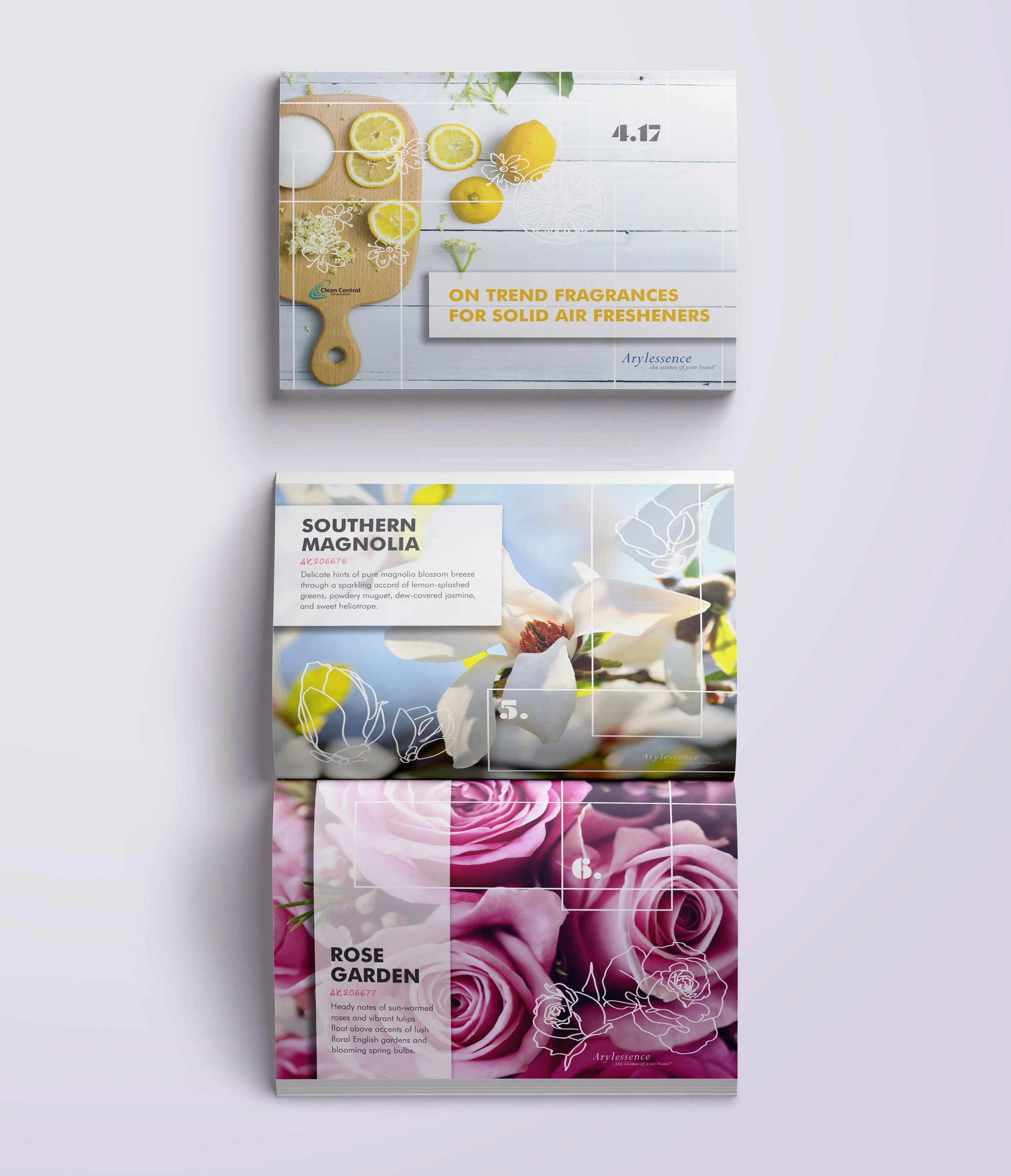 Clean Control Mag Mock Up.jpg