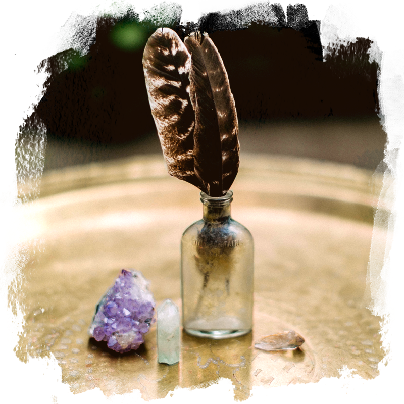 SandySitron12thHouse