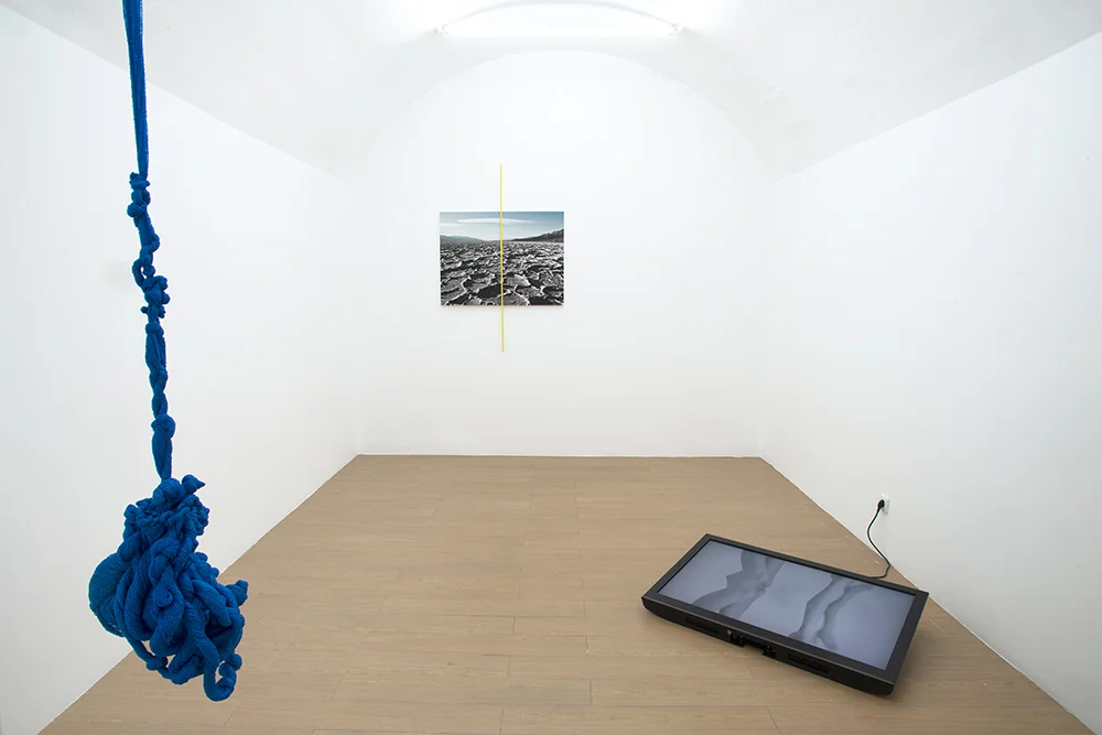 SwipeBabySwipe-(Installation-View_3).jpg