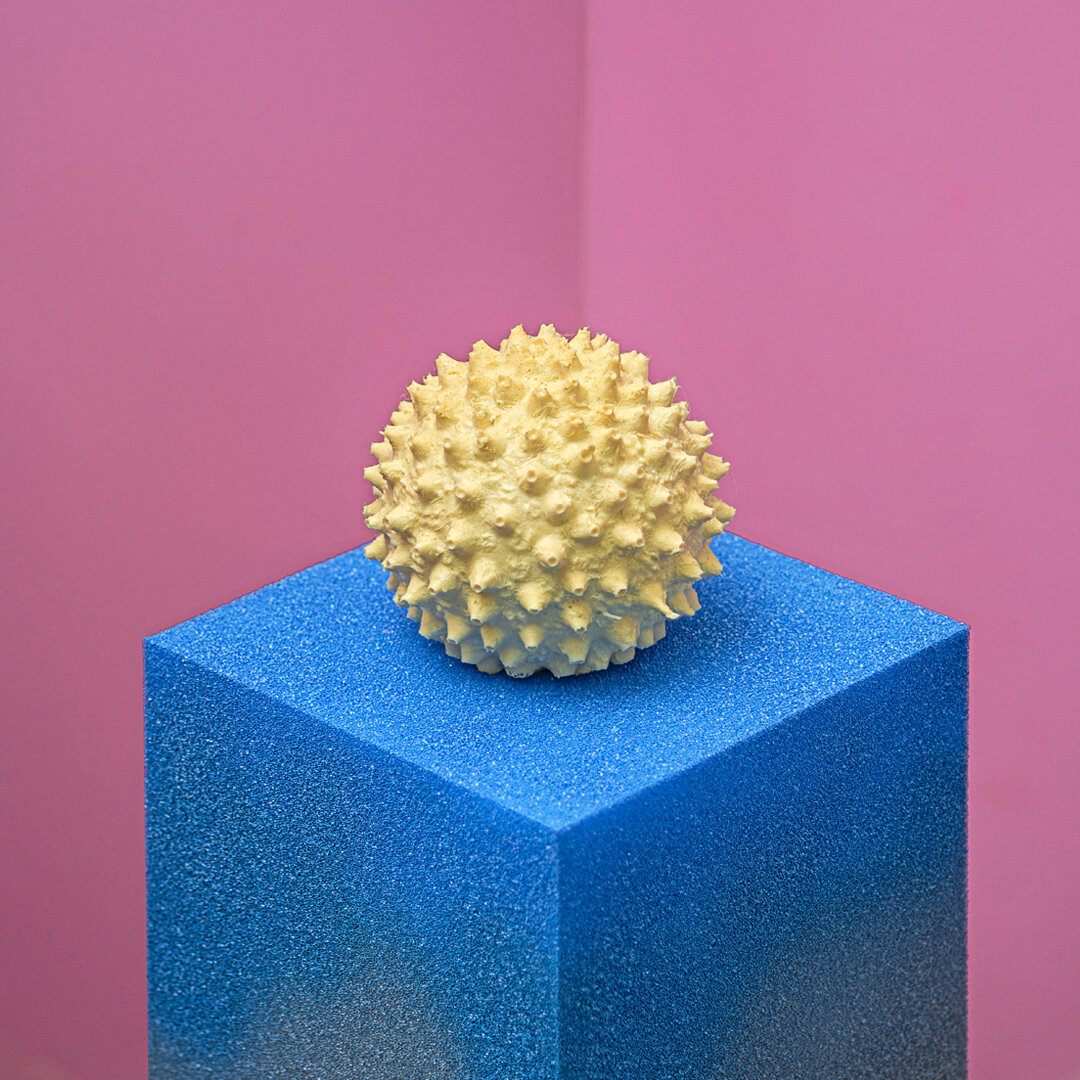 Mr.Chao's Pollen Sculptures #2.jpg