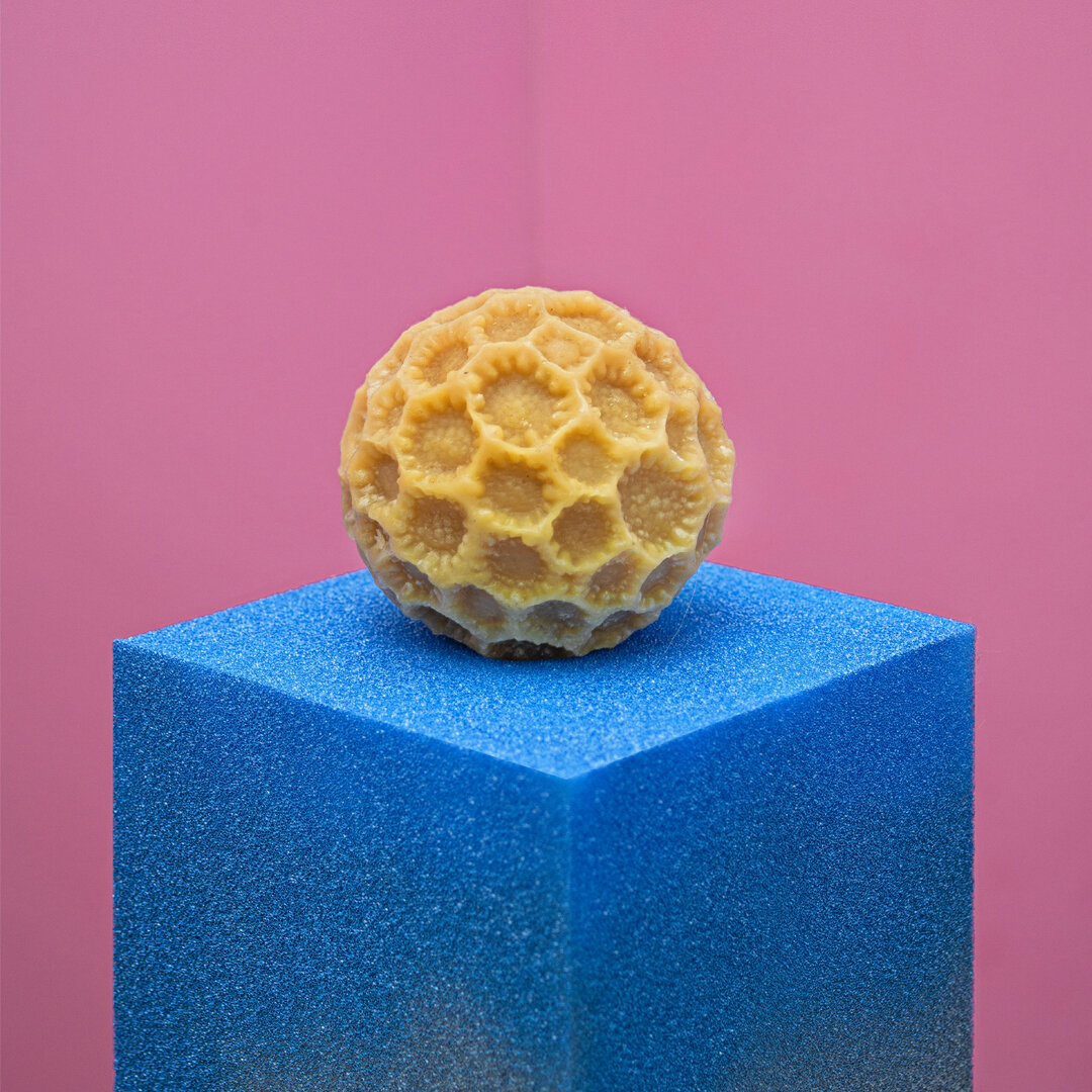 Mr.Chao's Pollen Sculptures #3.jpg