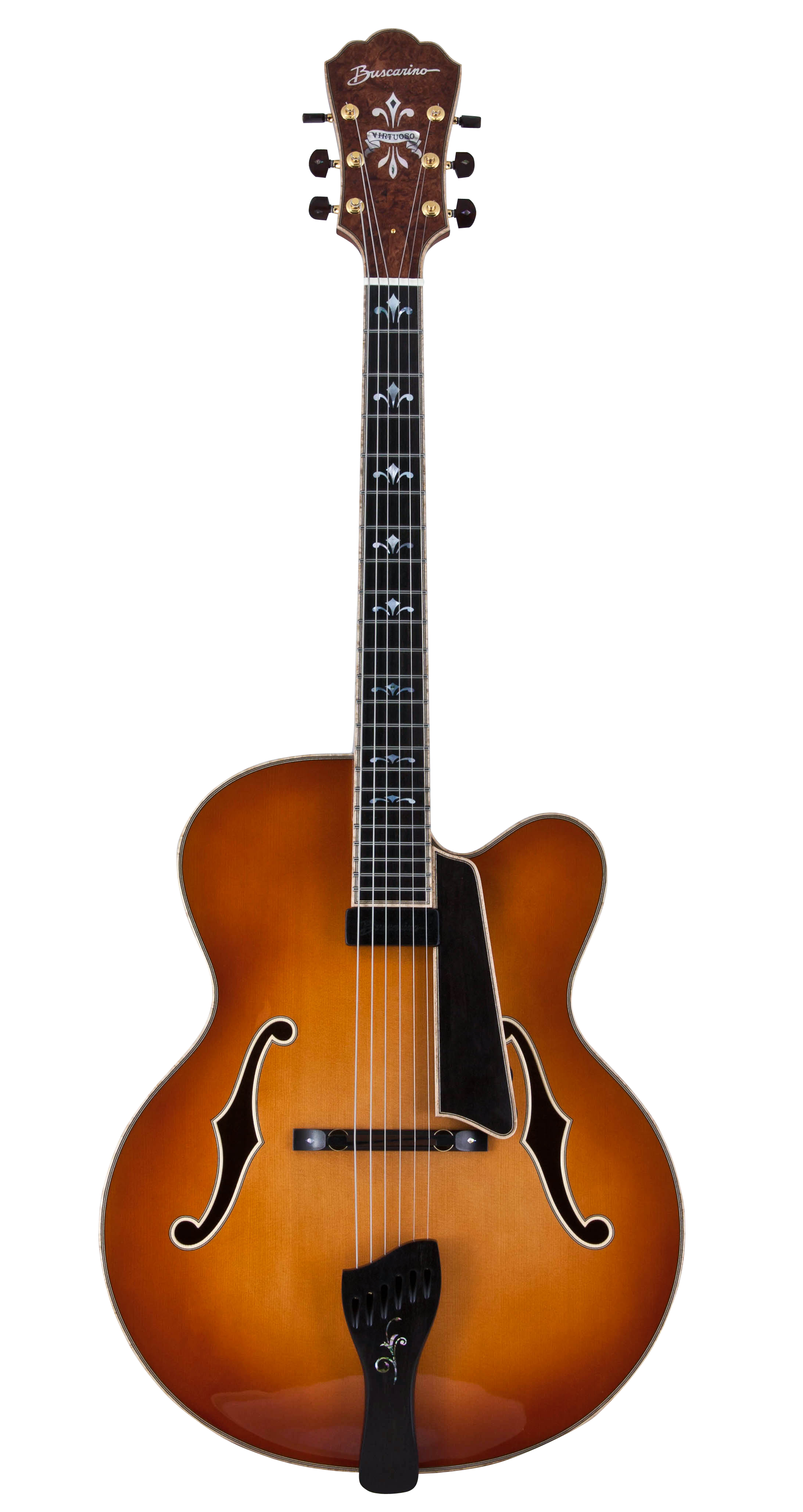 The Virtuoso Archtop