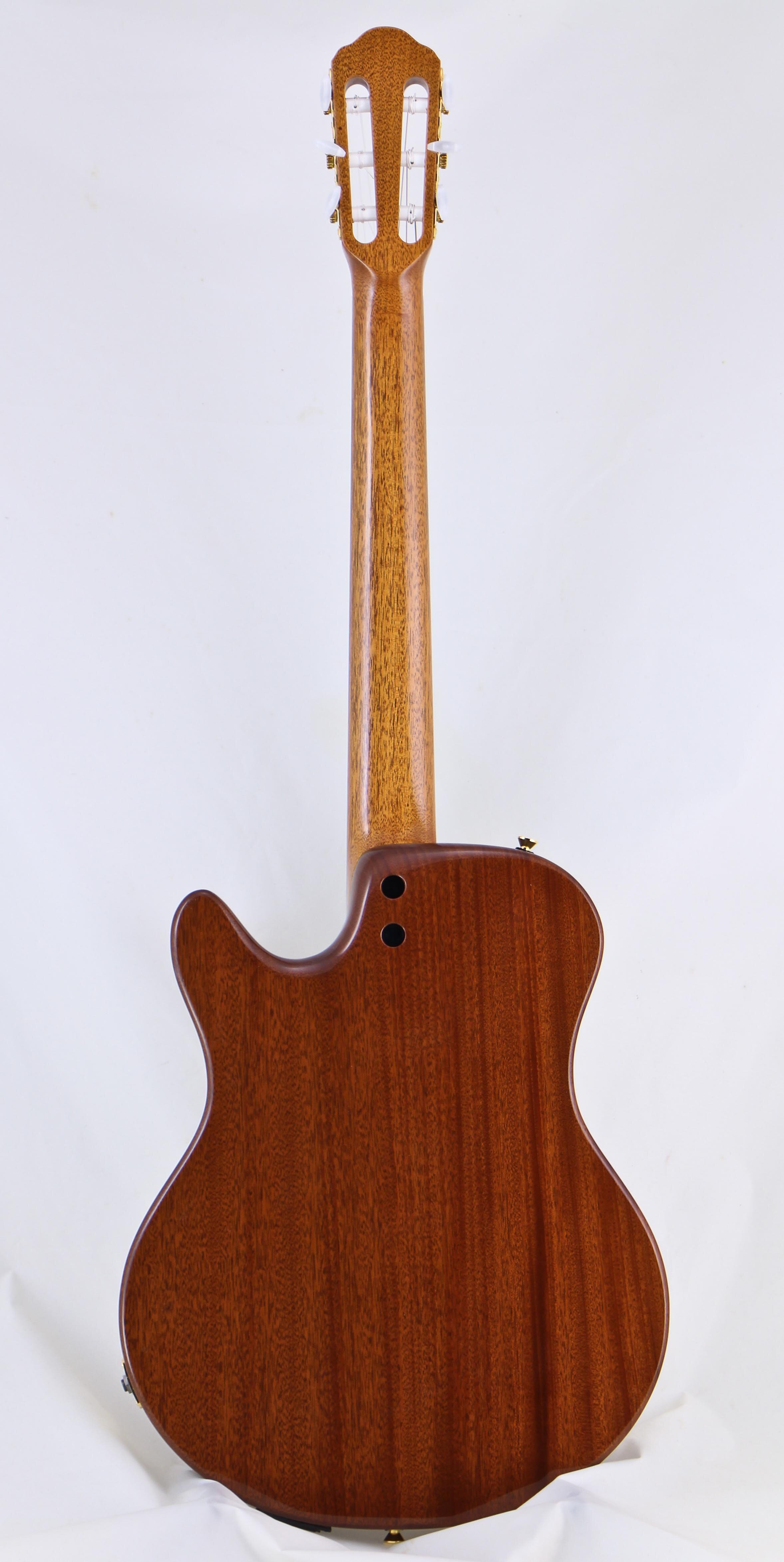 The Starlight Nylon — Buscarino Guitars The Starlight Nylon — Buscarino Guitars