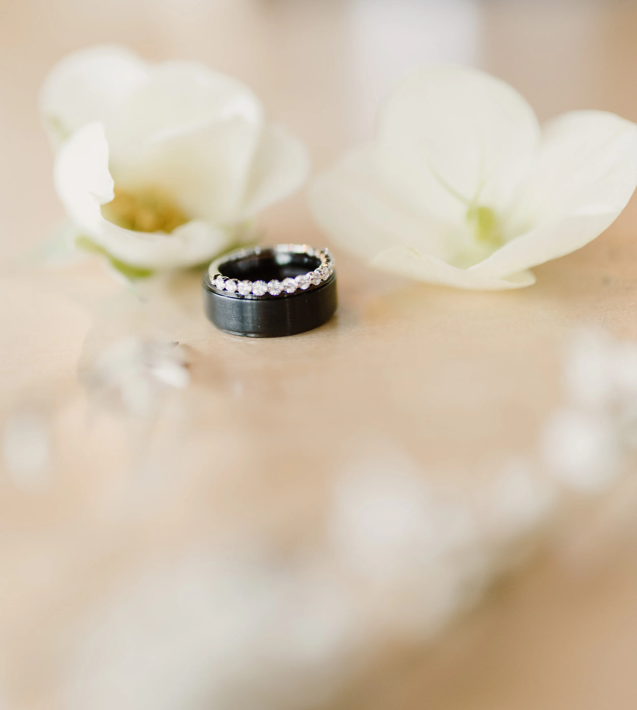 Charlotte Intimate Wedding Photography