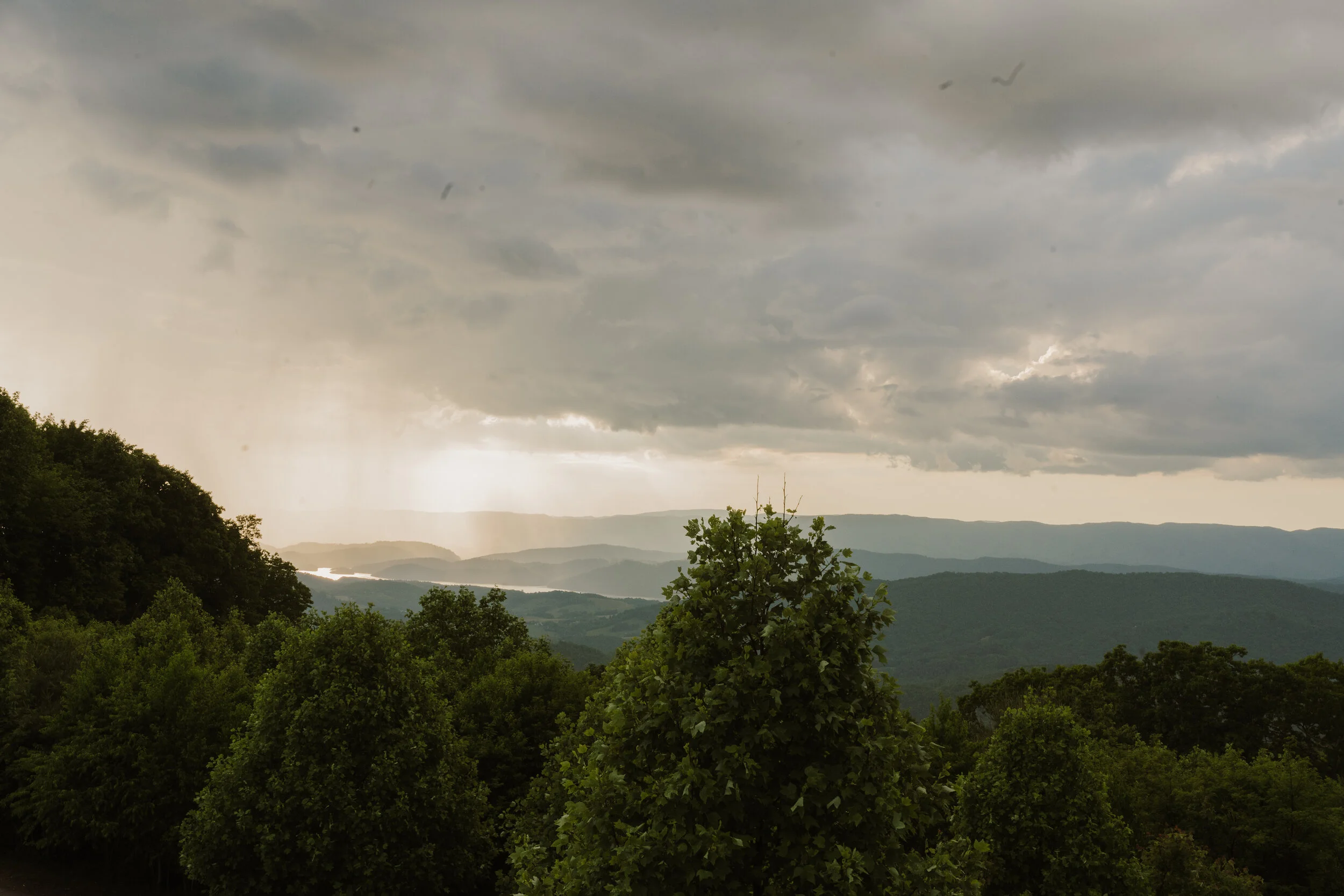 Charlotte Intimate Wedding Photographer