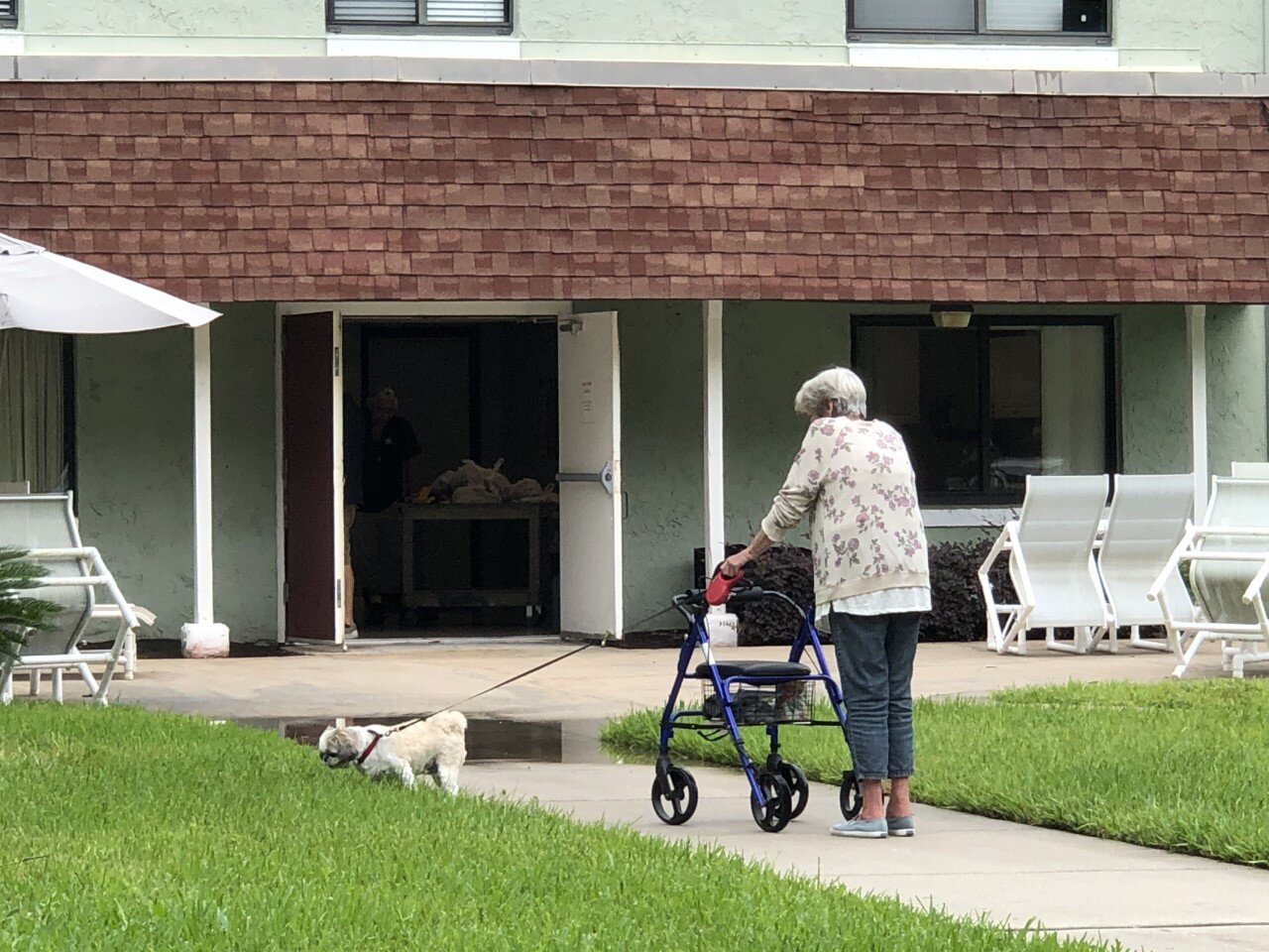 A senior resident at Pablo Hamlet walks her dog before entering into the cafeteria to pick up her pre-packaged groceries provided by BEAM.