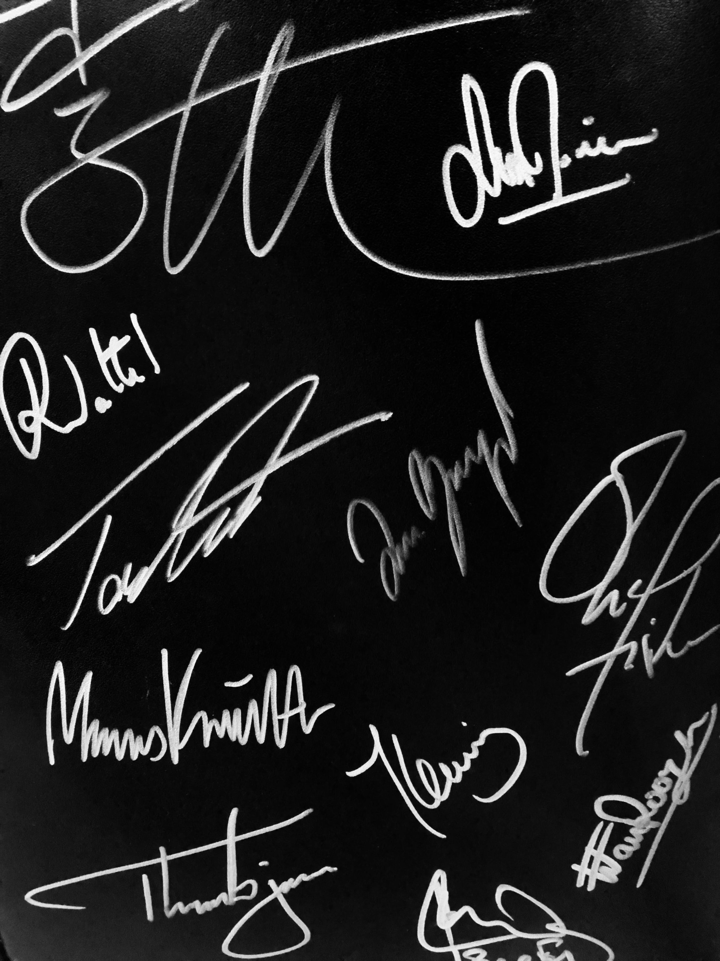 signed panel.png