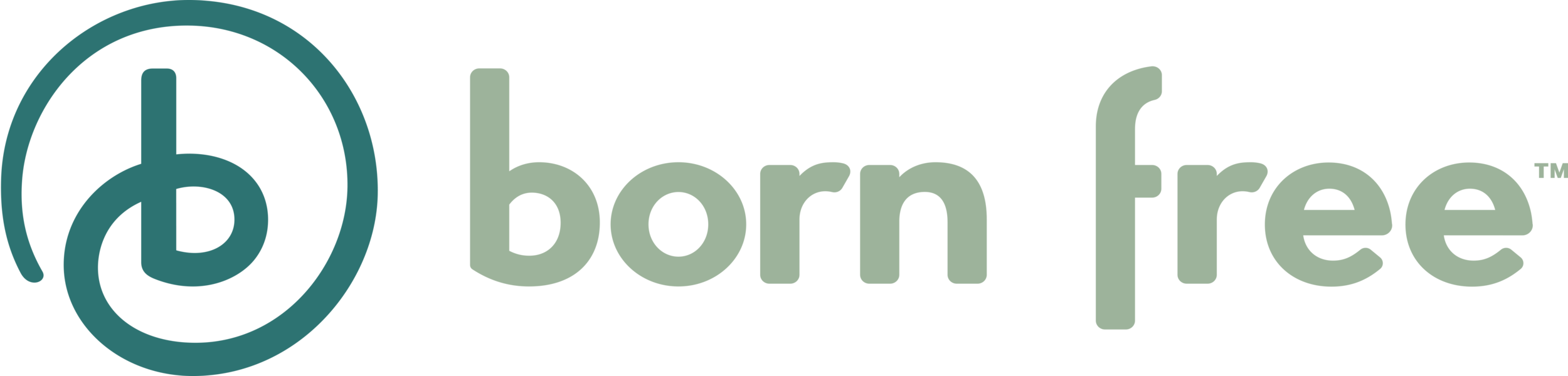 SUMR Brands_bornfree Logo_temp.png