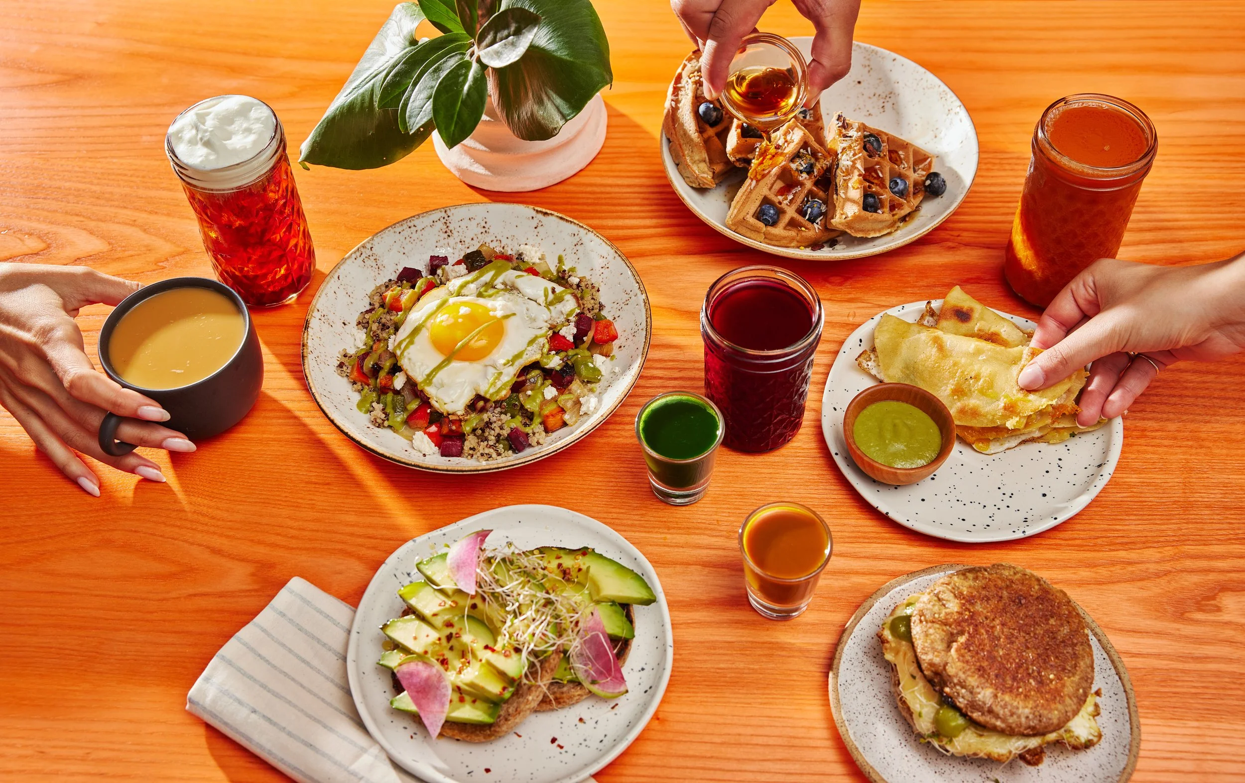 20230829_LifeALiveCafe-18.jpg