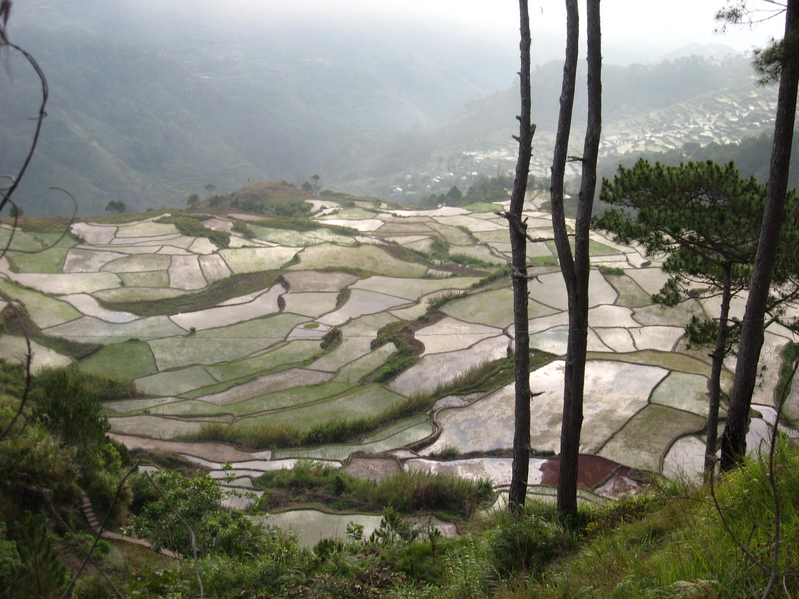 Tanulong village rice terraces